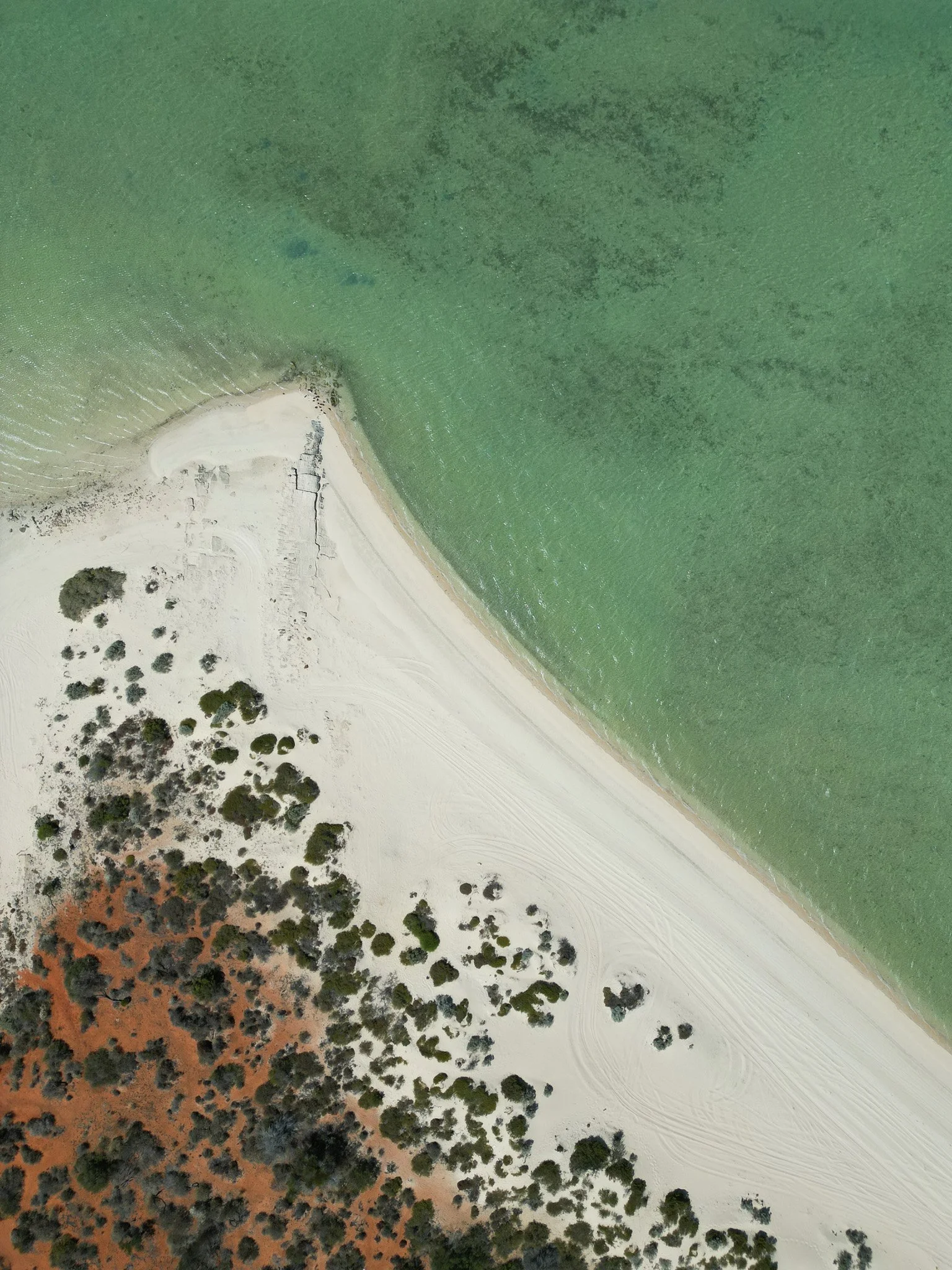 DJI_0601.jpg