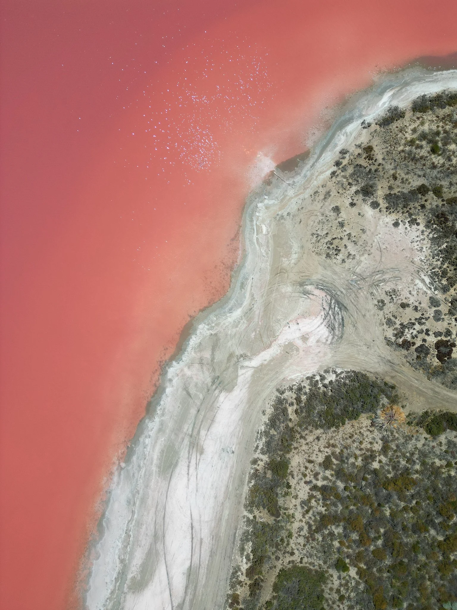 DJI_0516.jpg