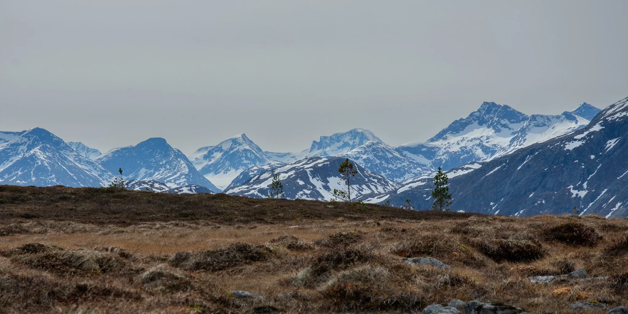 DSC_0173.jpg