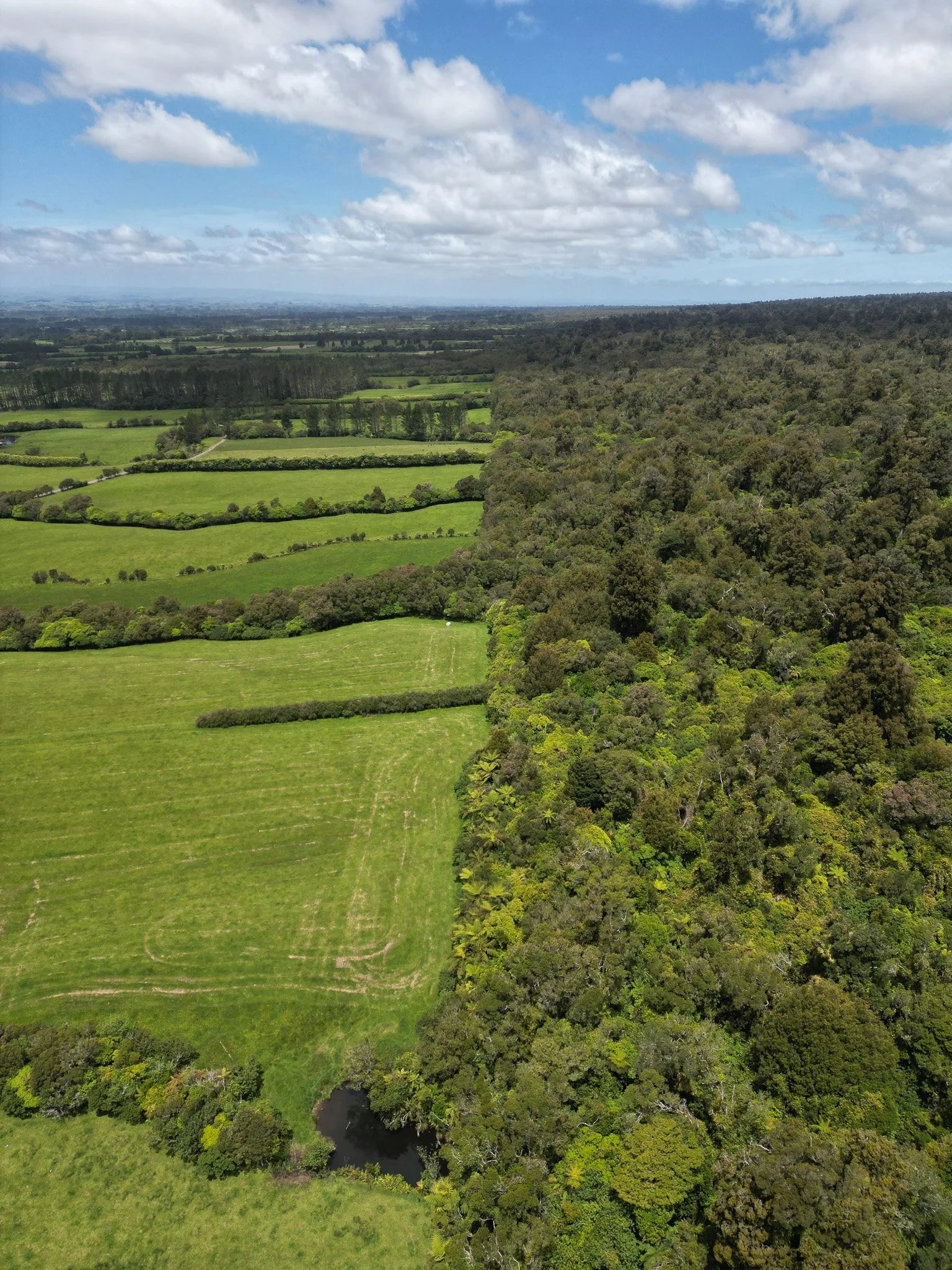 DJI_0362.jpg