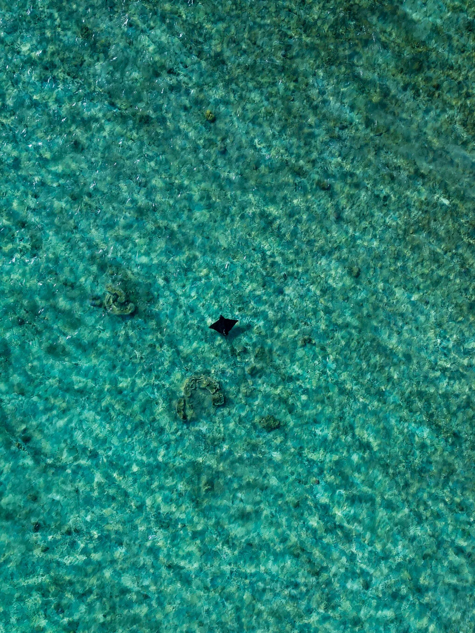 dji_fly_20221231_081926_842_1672442221926_photo.jpg