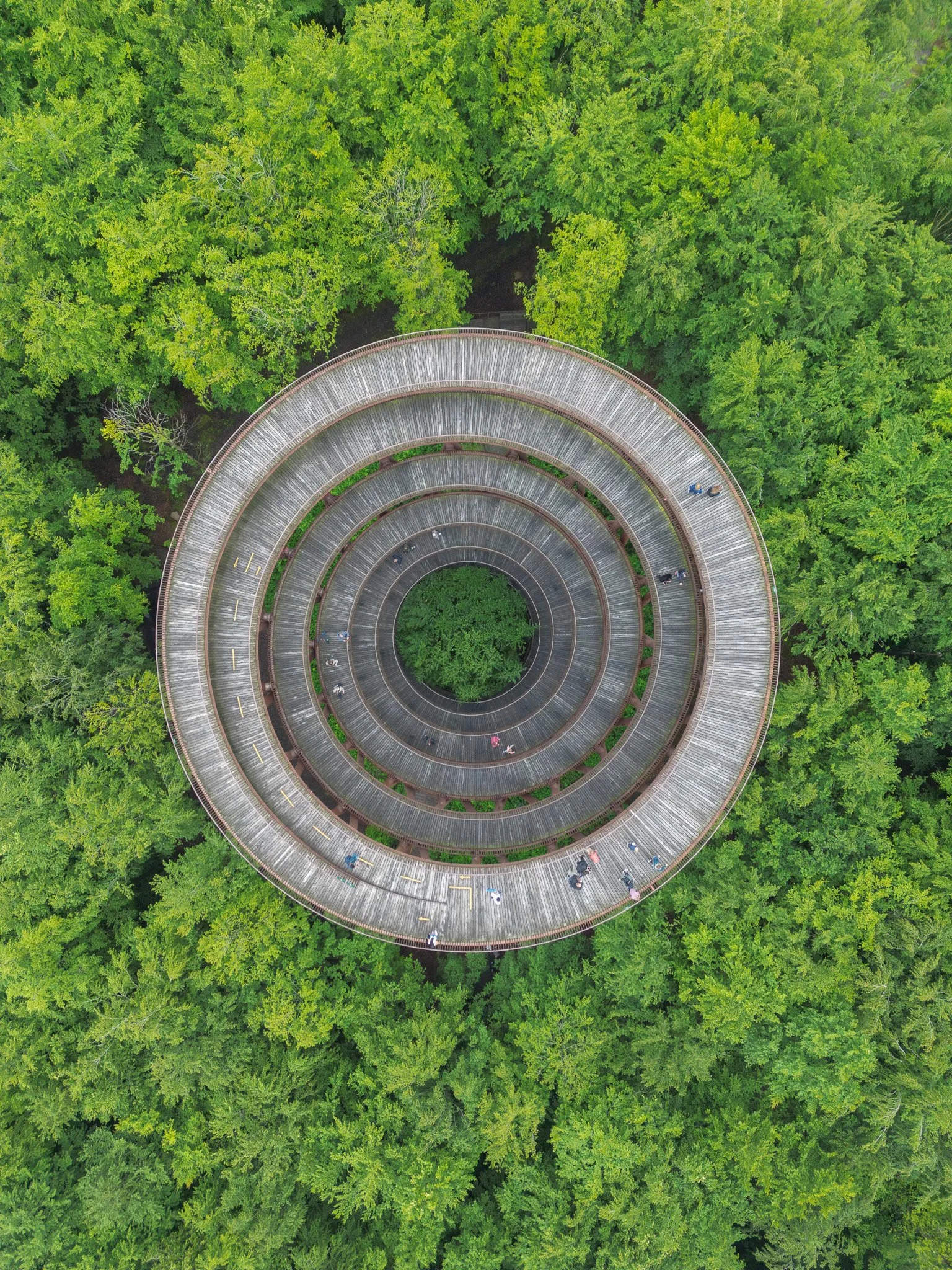 DJI_0054.jpg