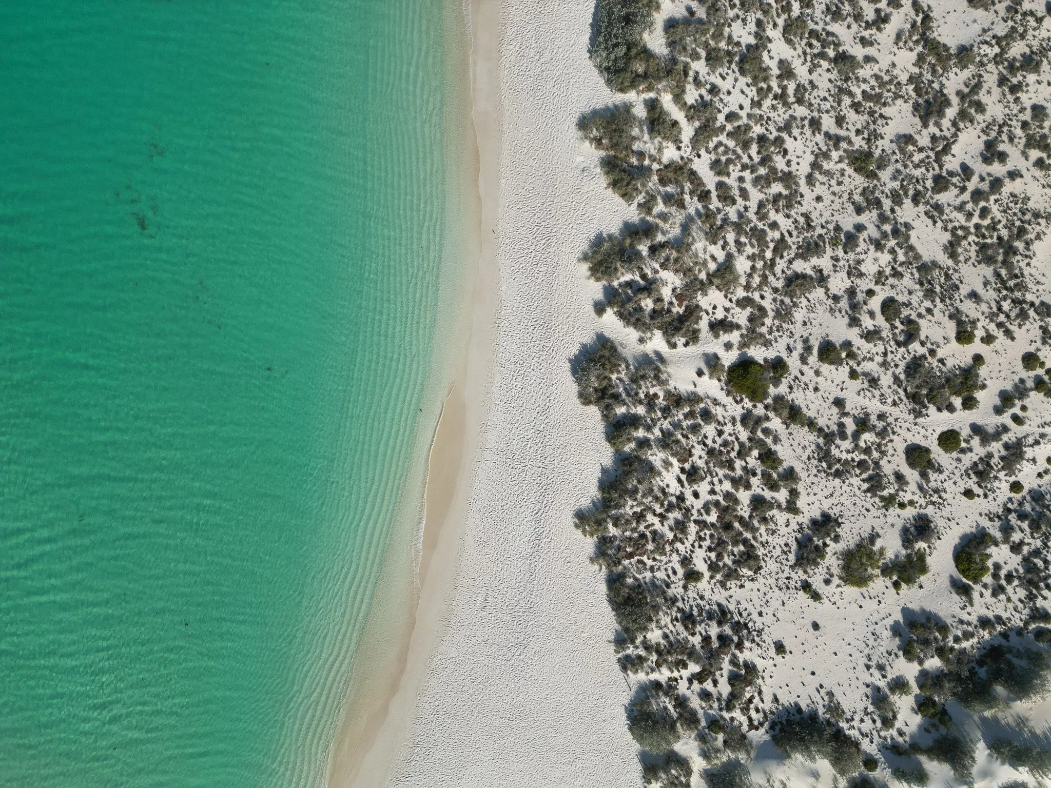DJI_0880.jpg