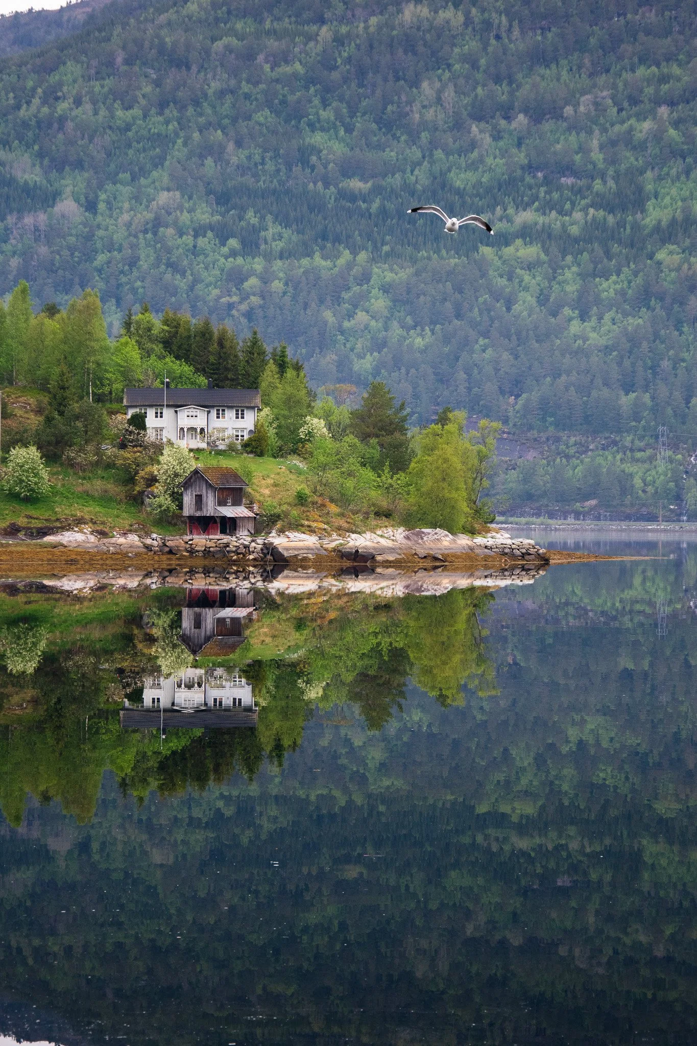 DSC_0254.jpg