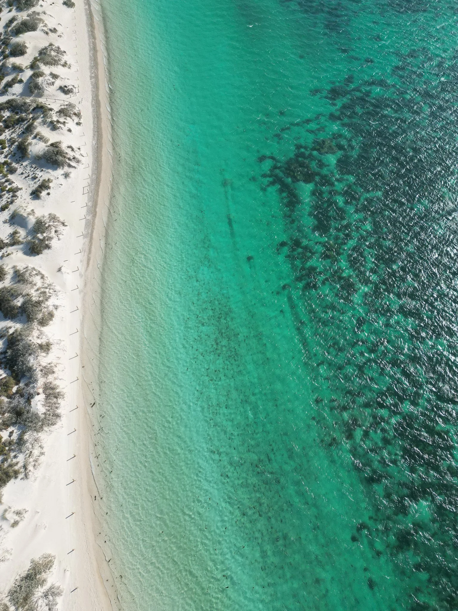DJI_0885.jpg
