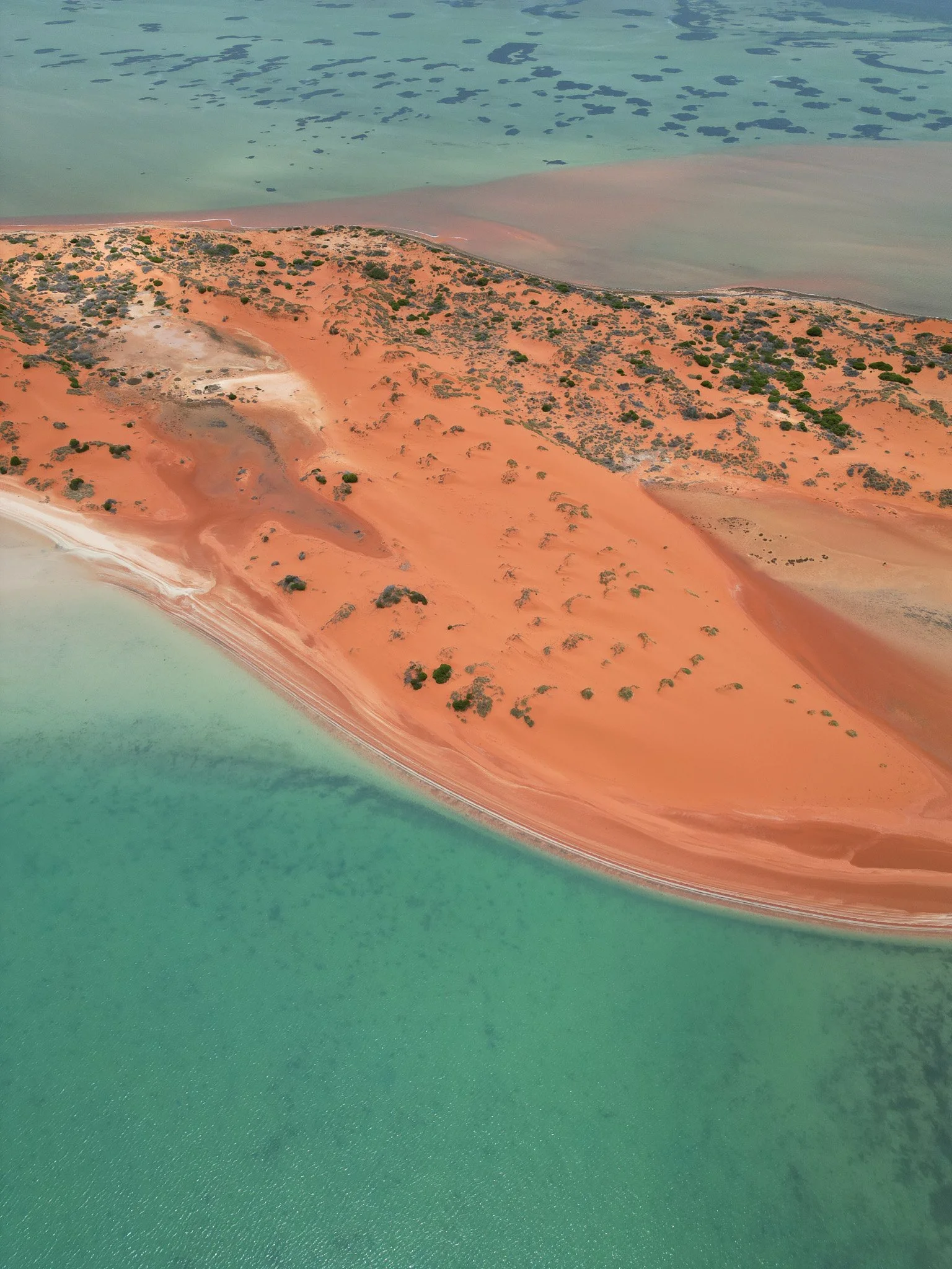 DJI_0694.jpg