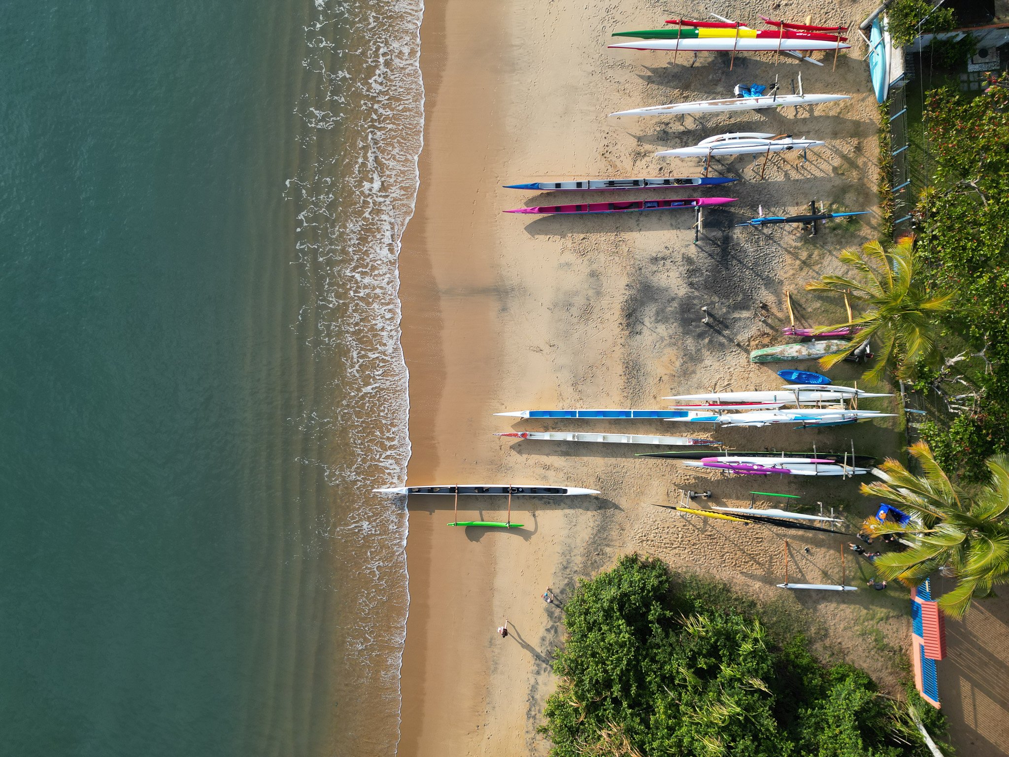 DJI_0667.jpg