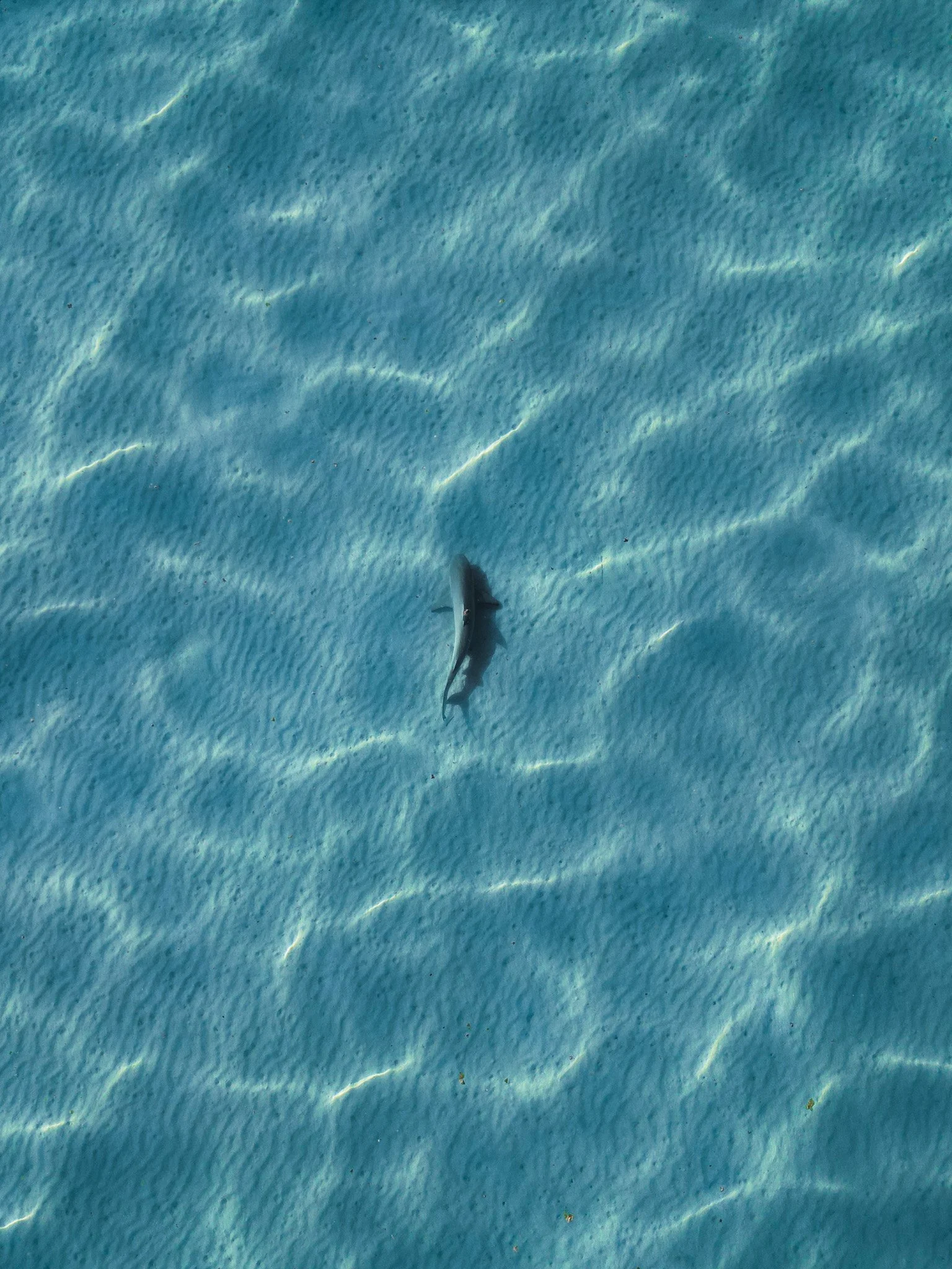 dji_fly_20221229_185306_771_1672319316517_photo.jpg