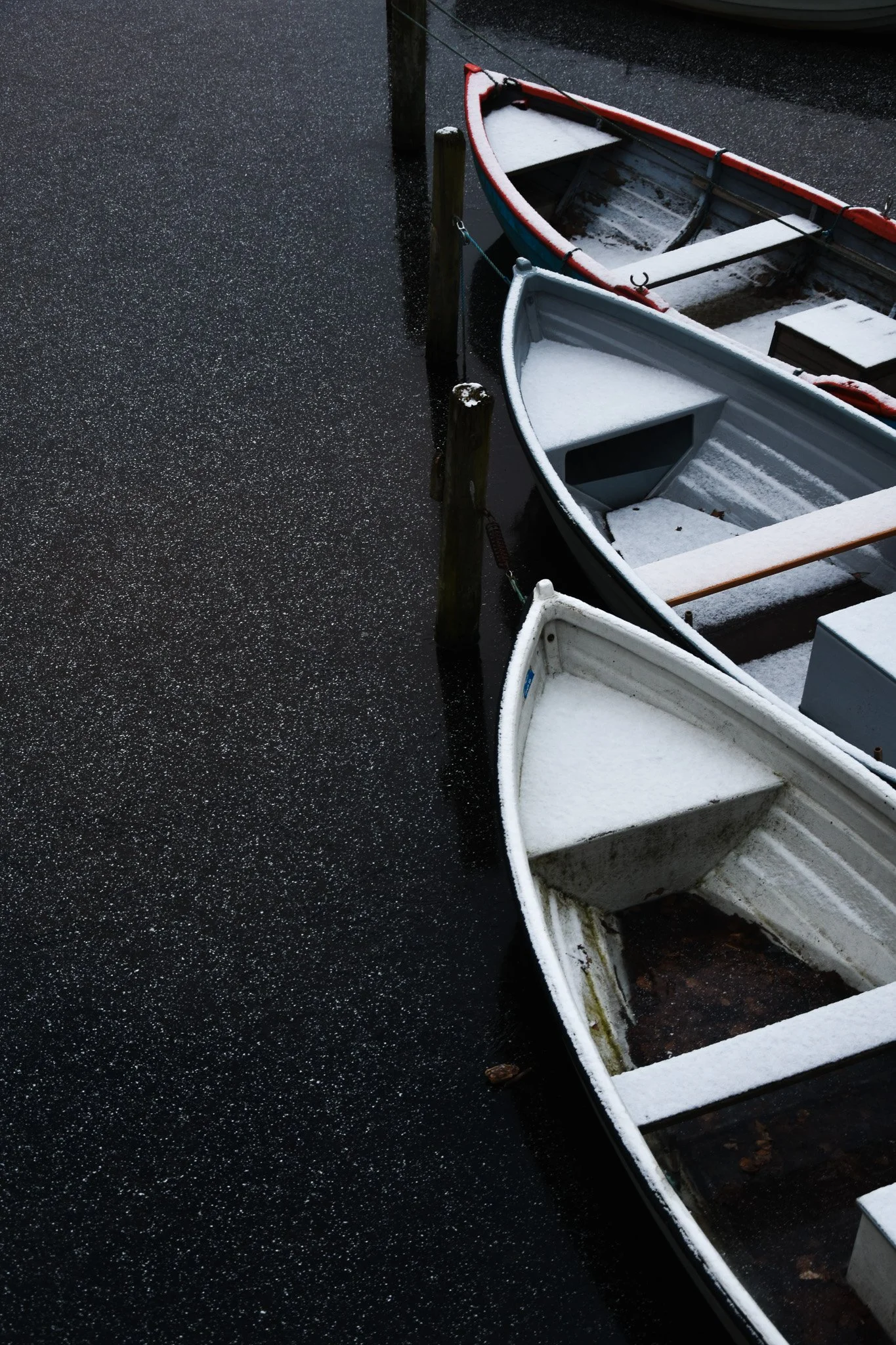 Sailing stars
