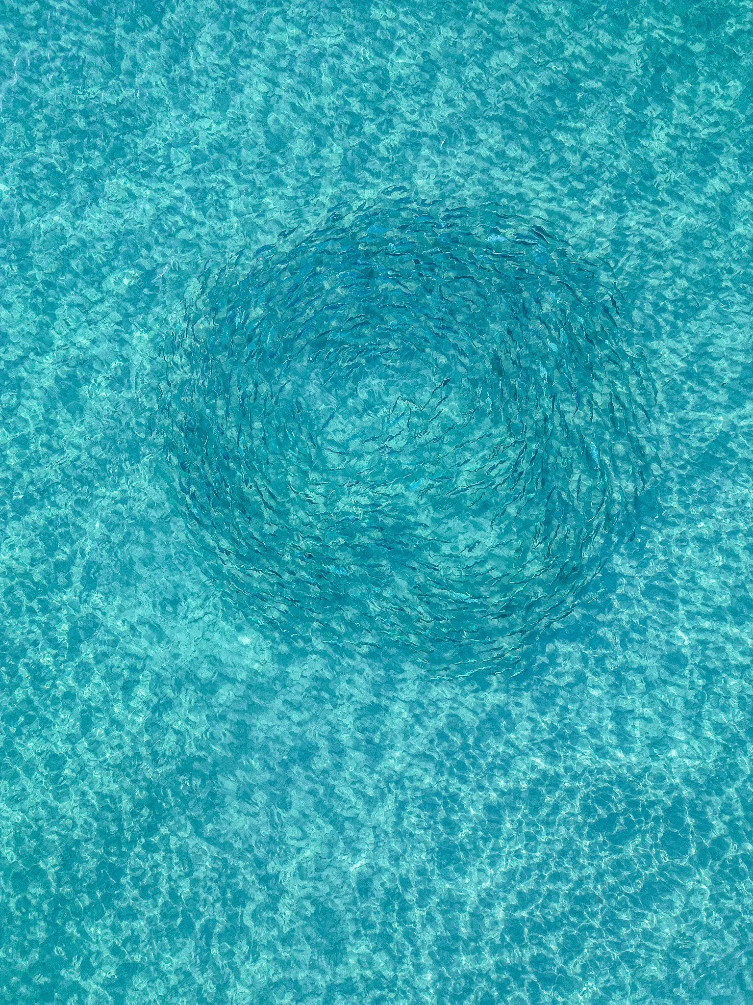 dji_fly_20221229_185918_782_1672319292191_photo.jpg