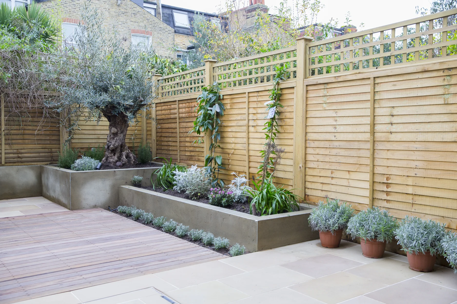 barnes-design-rear-extension-elborough-street-garden-view-02.jpg