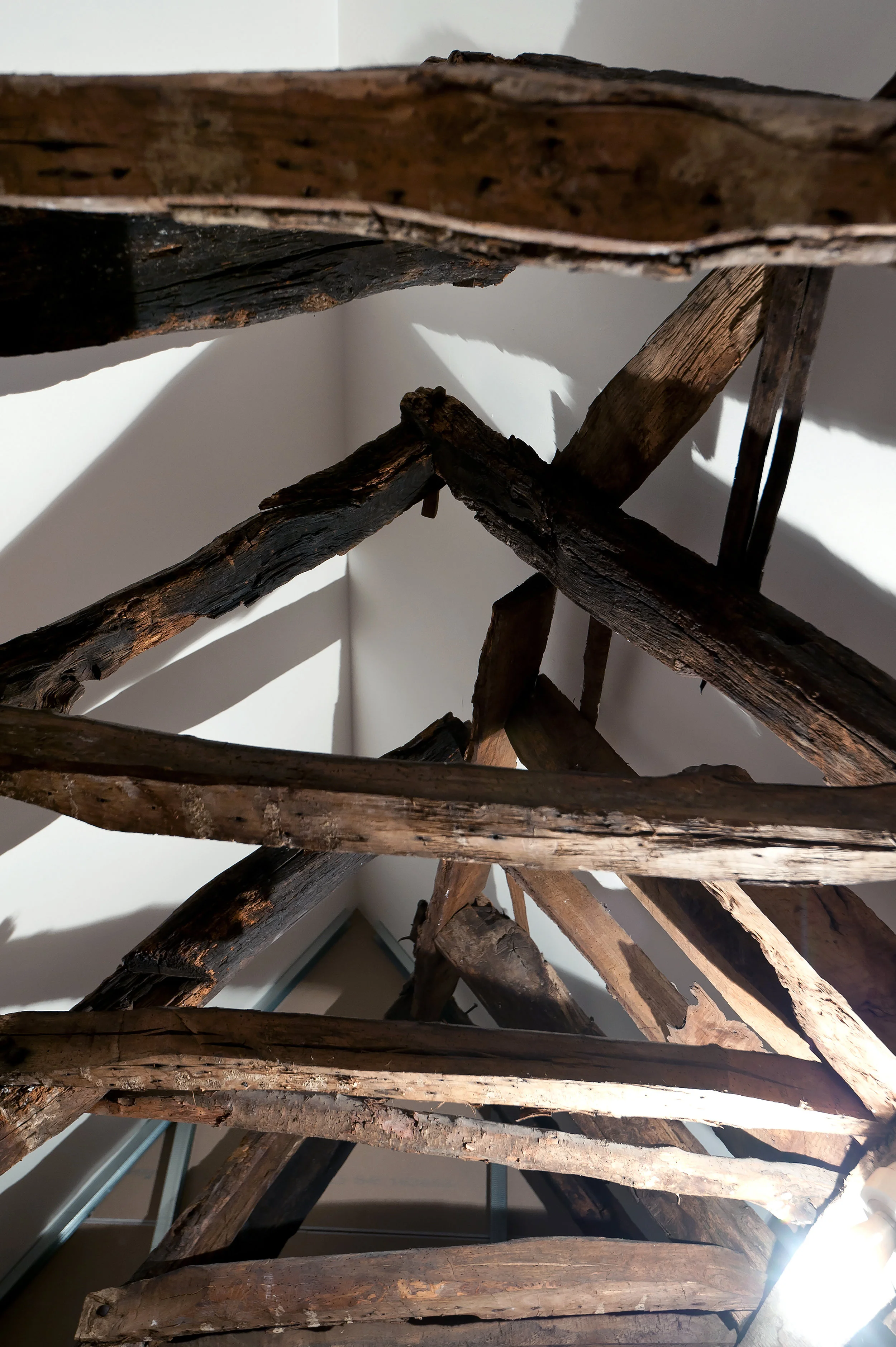 barnes-design-grade-two-listed-refurbishment-seringa-original-features.jpg