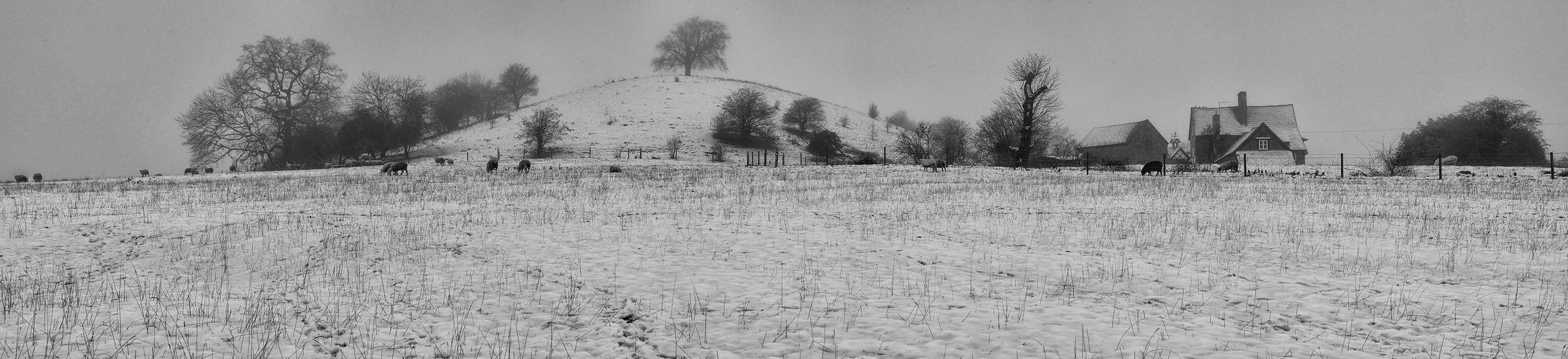 A snow-covered rural landscape with a fenced hillside, trees, a farmhouse, and grazing cows in winter.