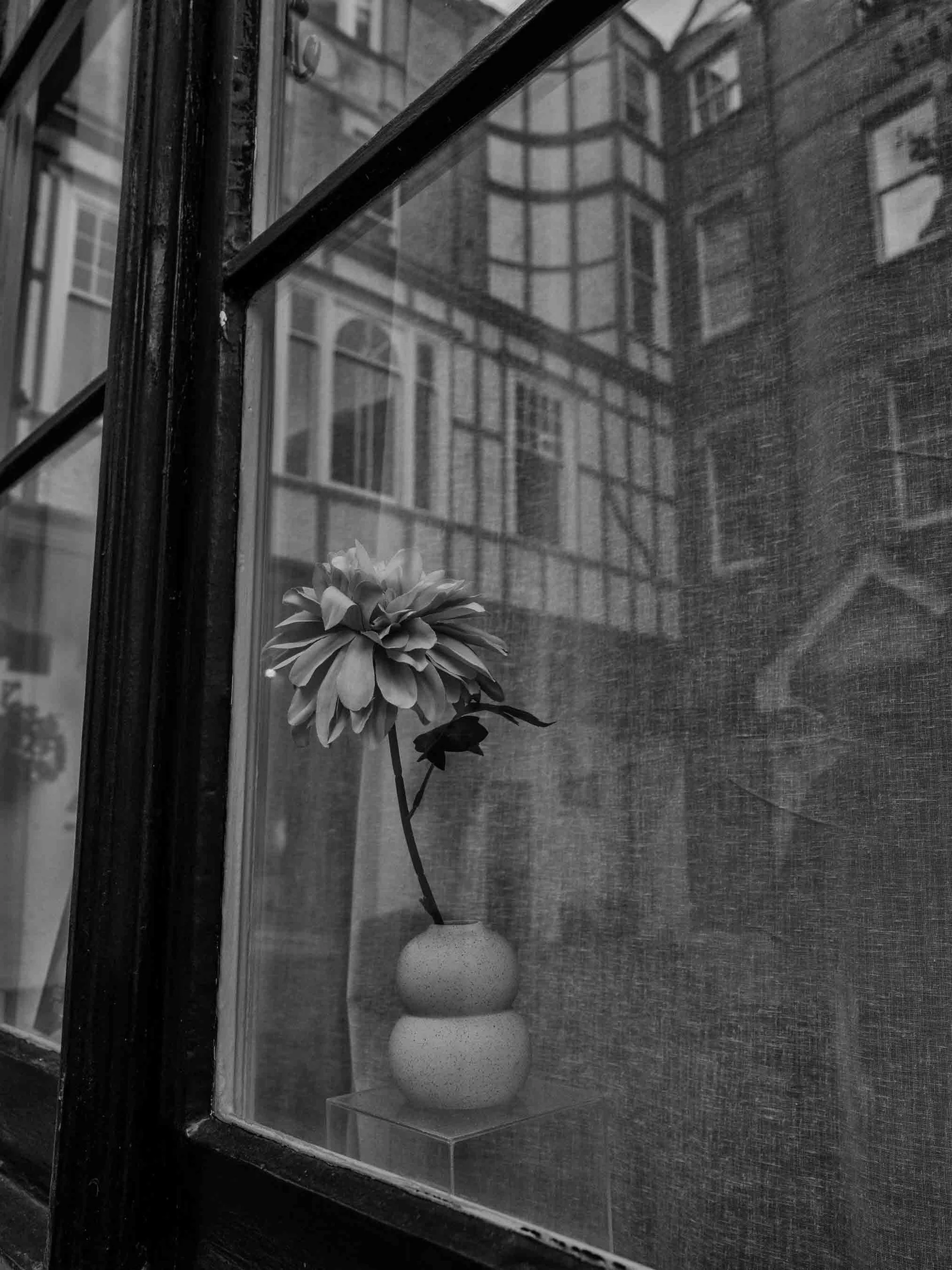 flower.jpg