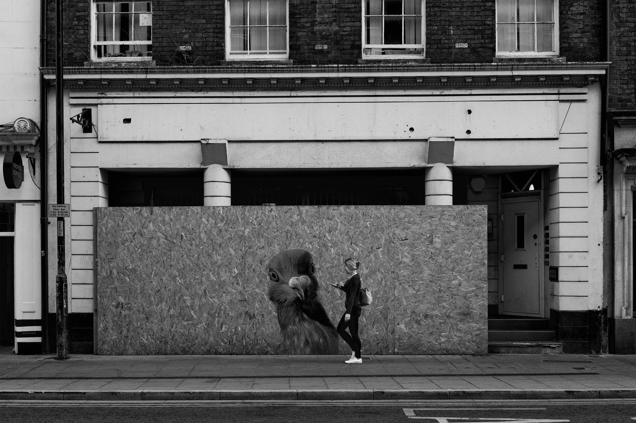 Black and white photo of a building with boarded-up windows and a plywood-covered storefront. A person stands in front of the boarded-up area, looking at their phone, with a large animal face mural, possibly a lion, on the plywood.