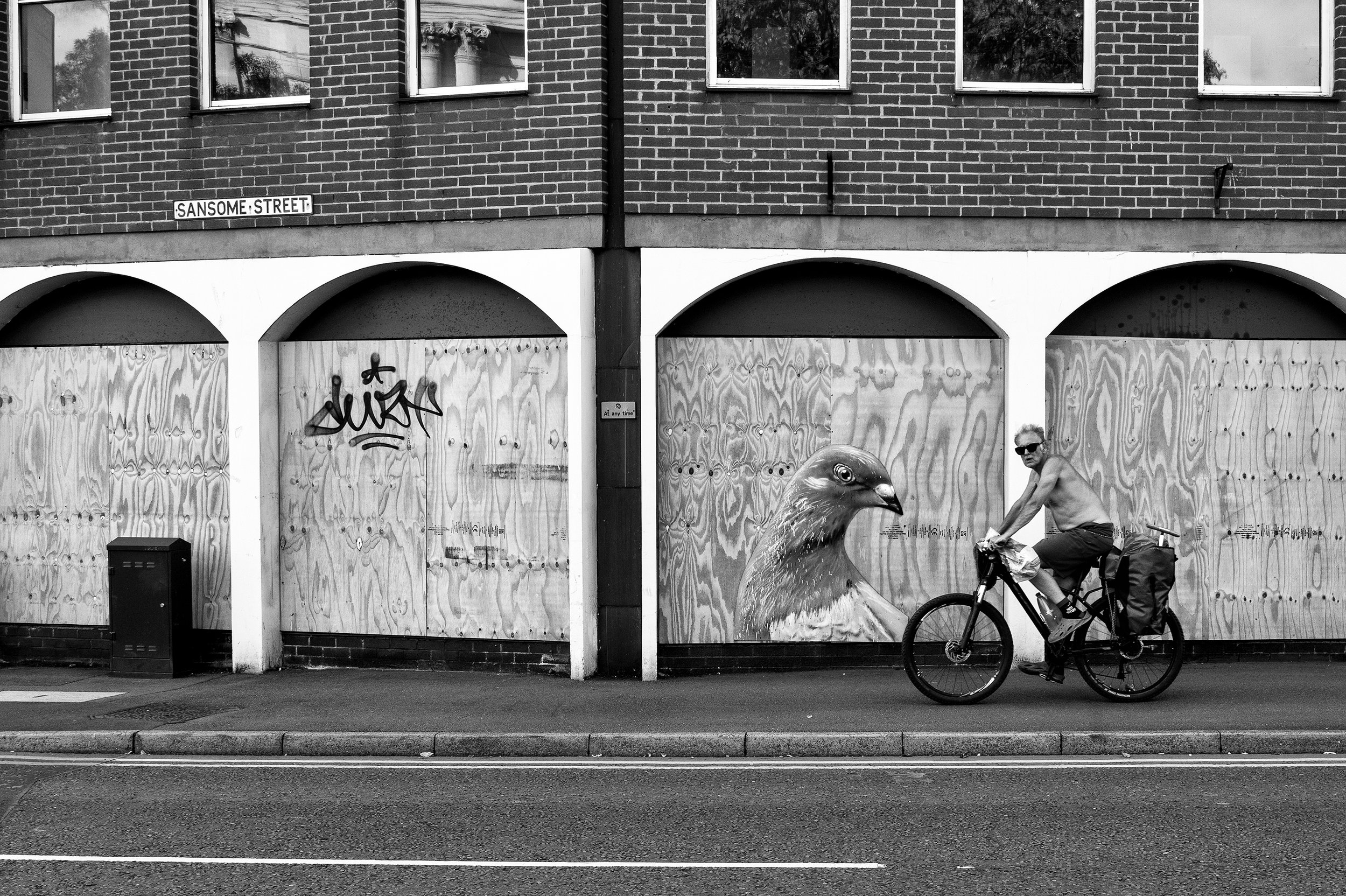 Job-centre-pigeon-S.jpg