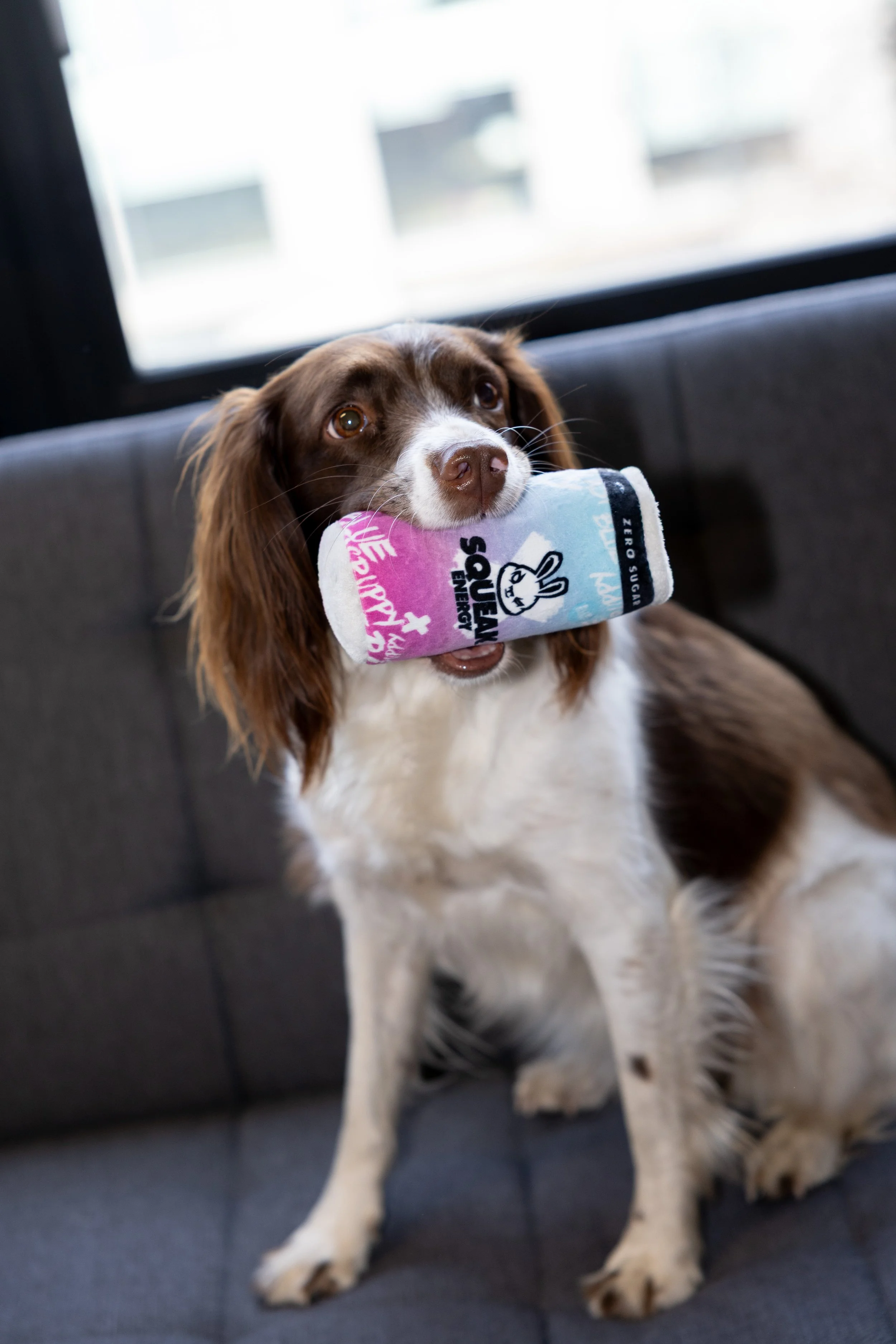 250319_Dog_Toy_Images_Daisy-3.jpg