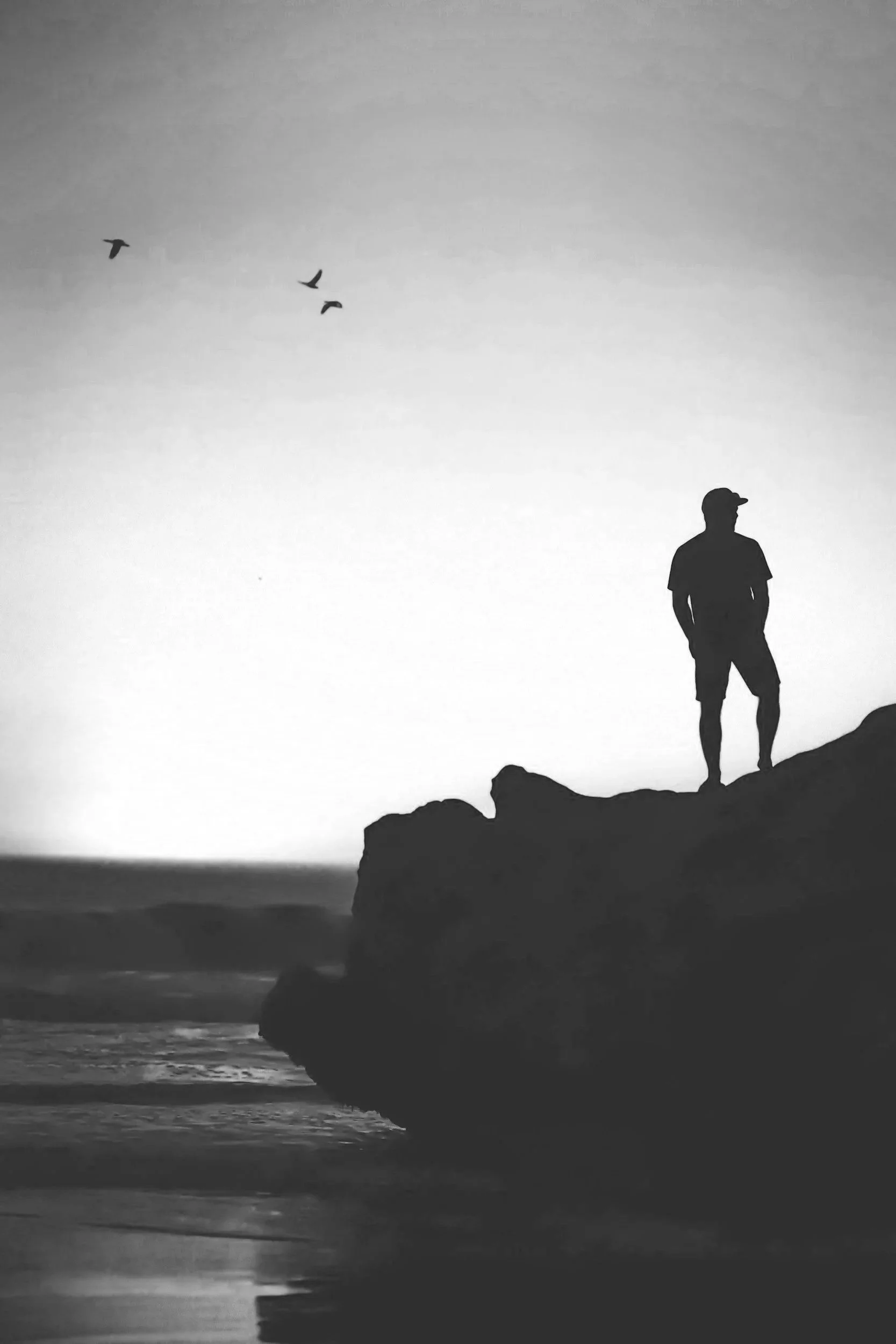 Black and white photo of a person standing on a rocky cliff by the ocean, with two birds flying overhead and a cloudy sky.