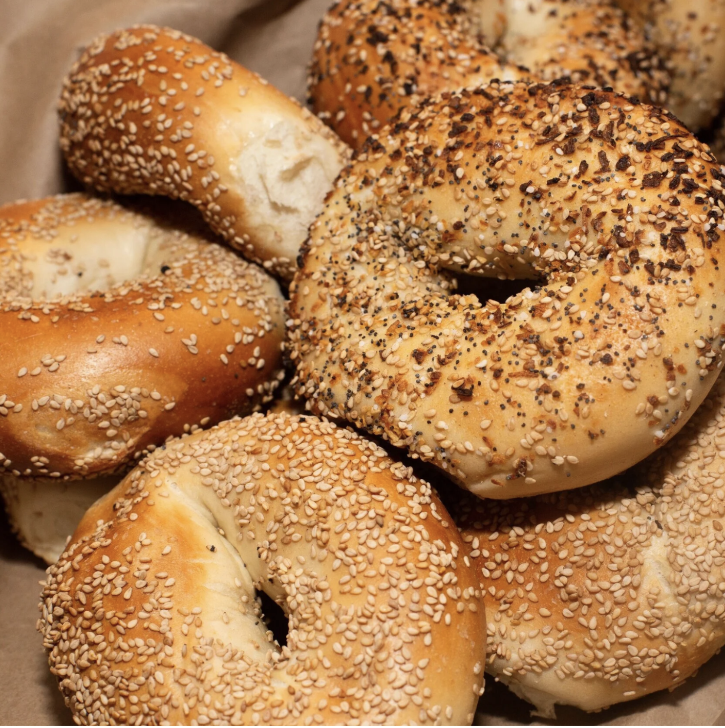 Bagels and Cream Cheese (YK-DW)