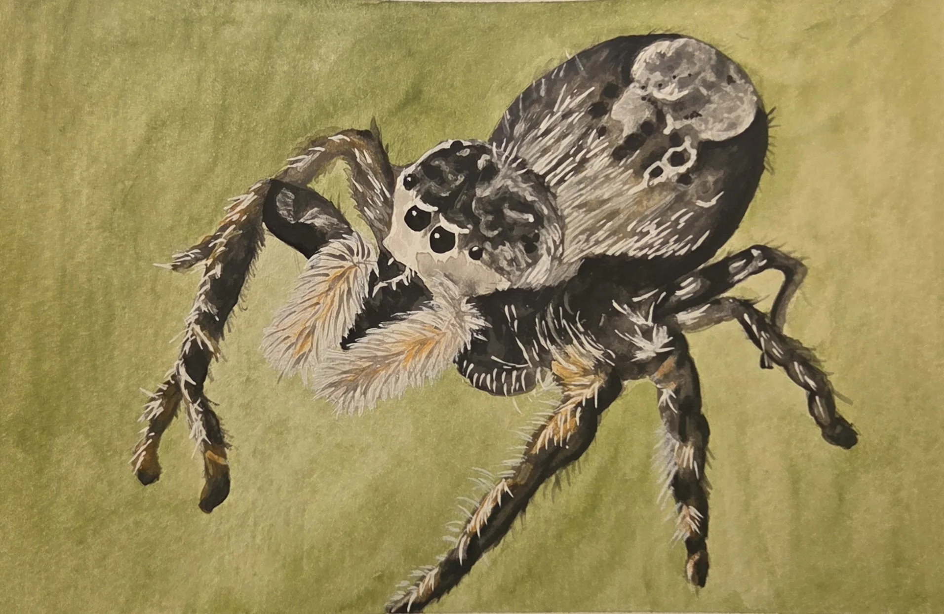 Watercolor and Ink