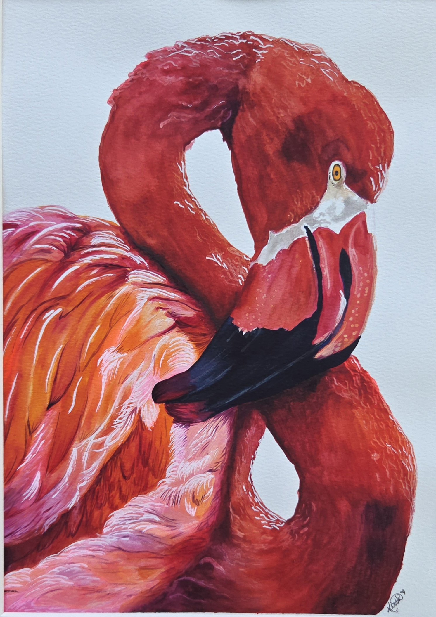 Watercolor and Ink