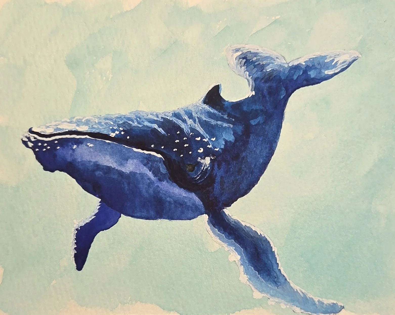 Watercolor and Ink