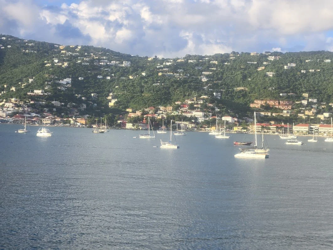 Cruise 3.jpg