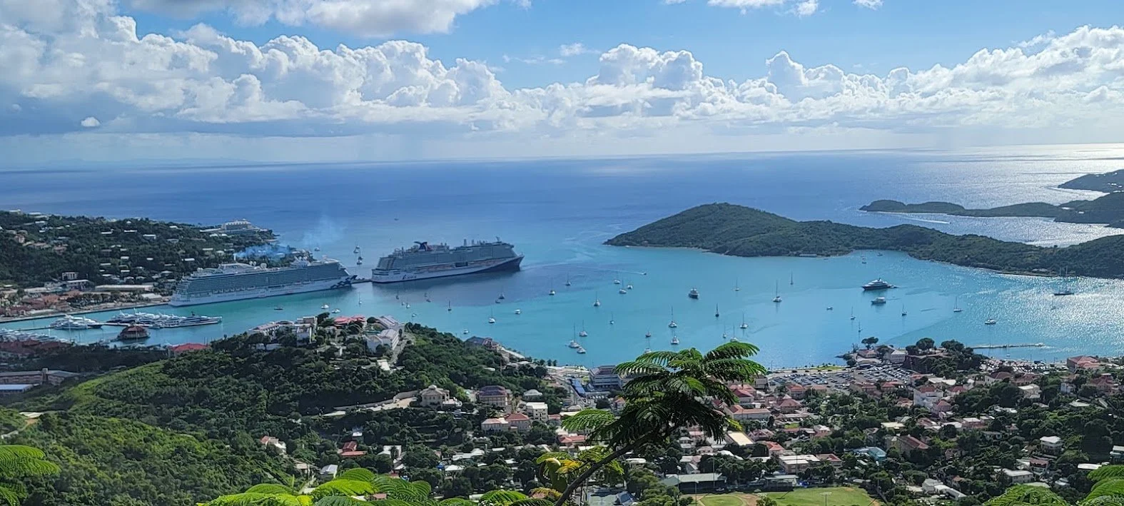 Cruise 6.jpg