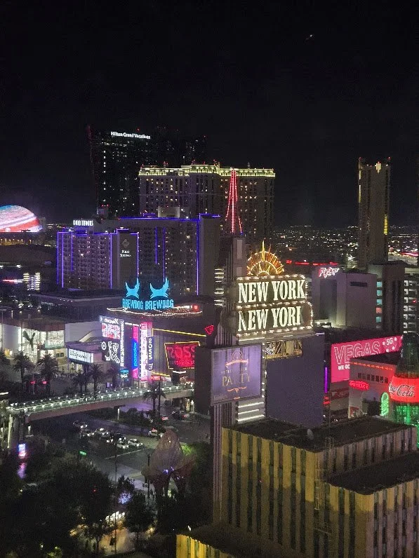 Vegas 3.jpg