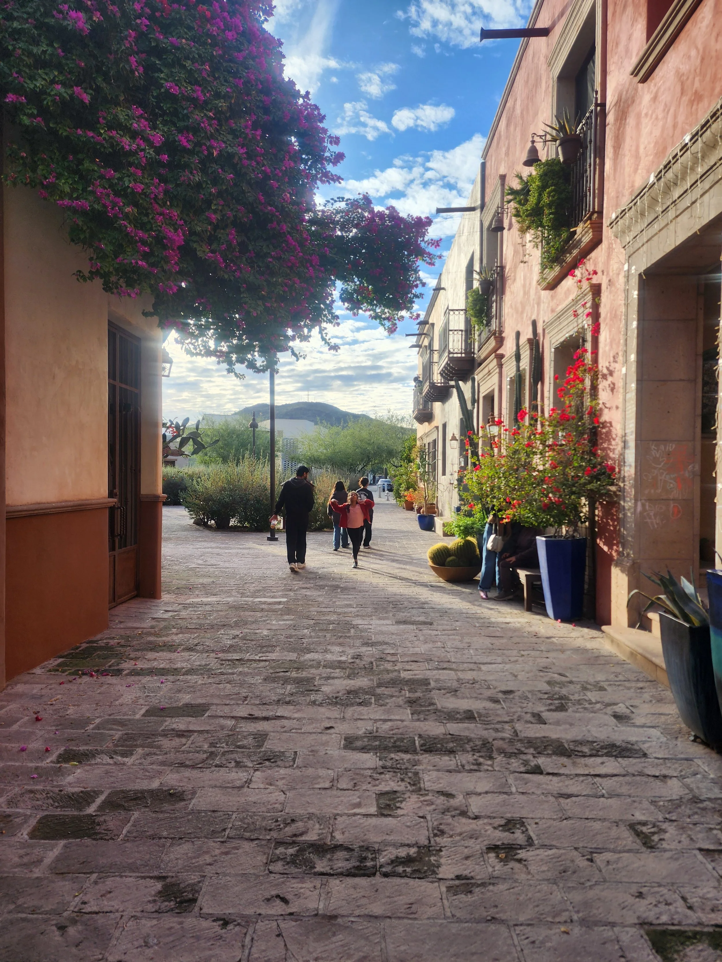 Saba Ahmadi, Tucson Arizona Realtor, standing in Downtown Tucson near historic Spanish and Sonoran architecture