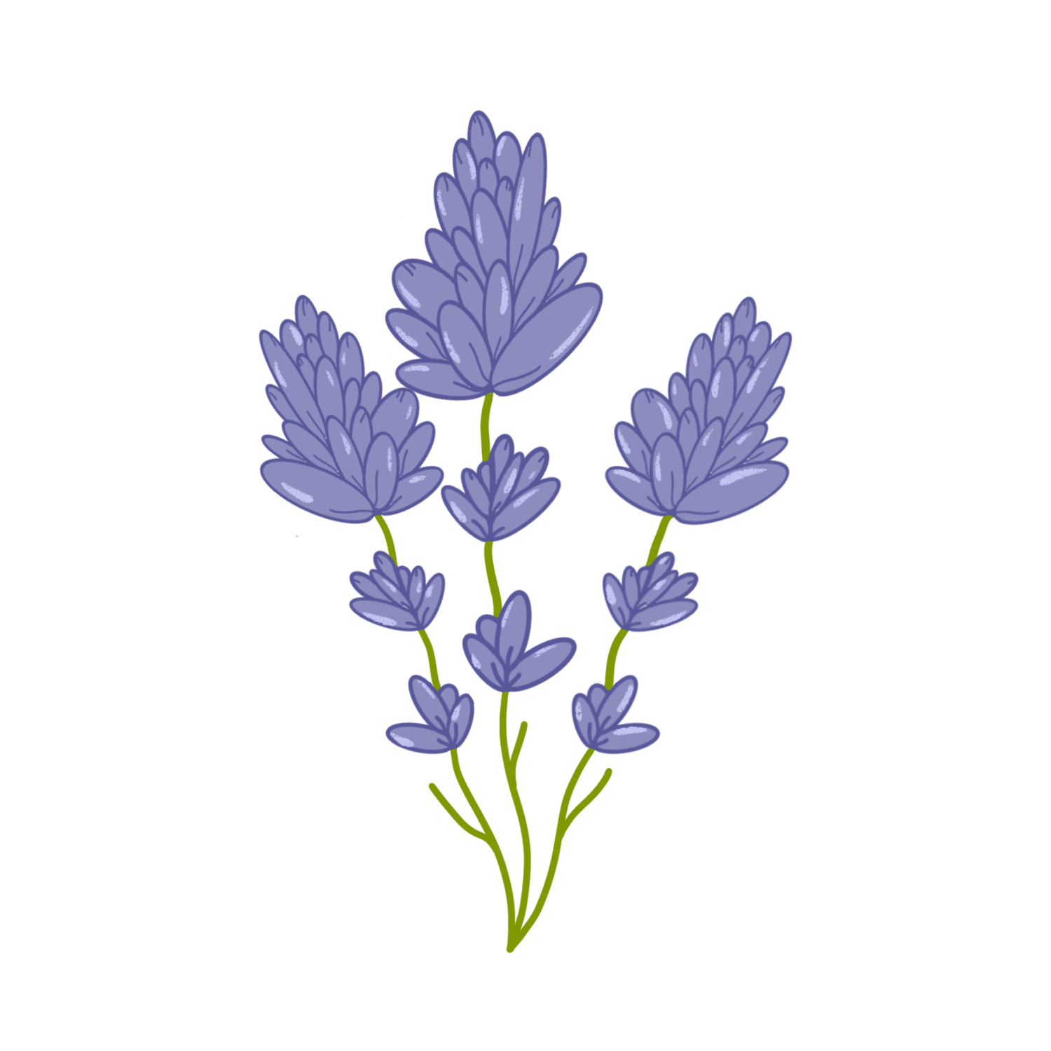 Lavender Love Celebrancy