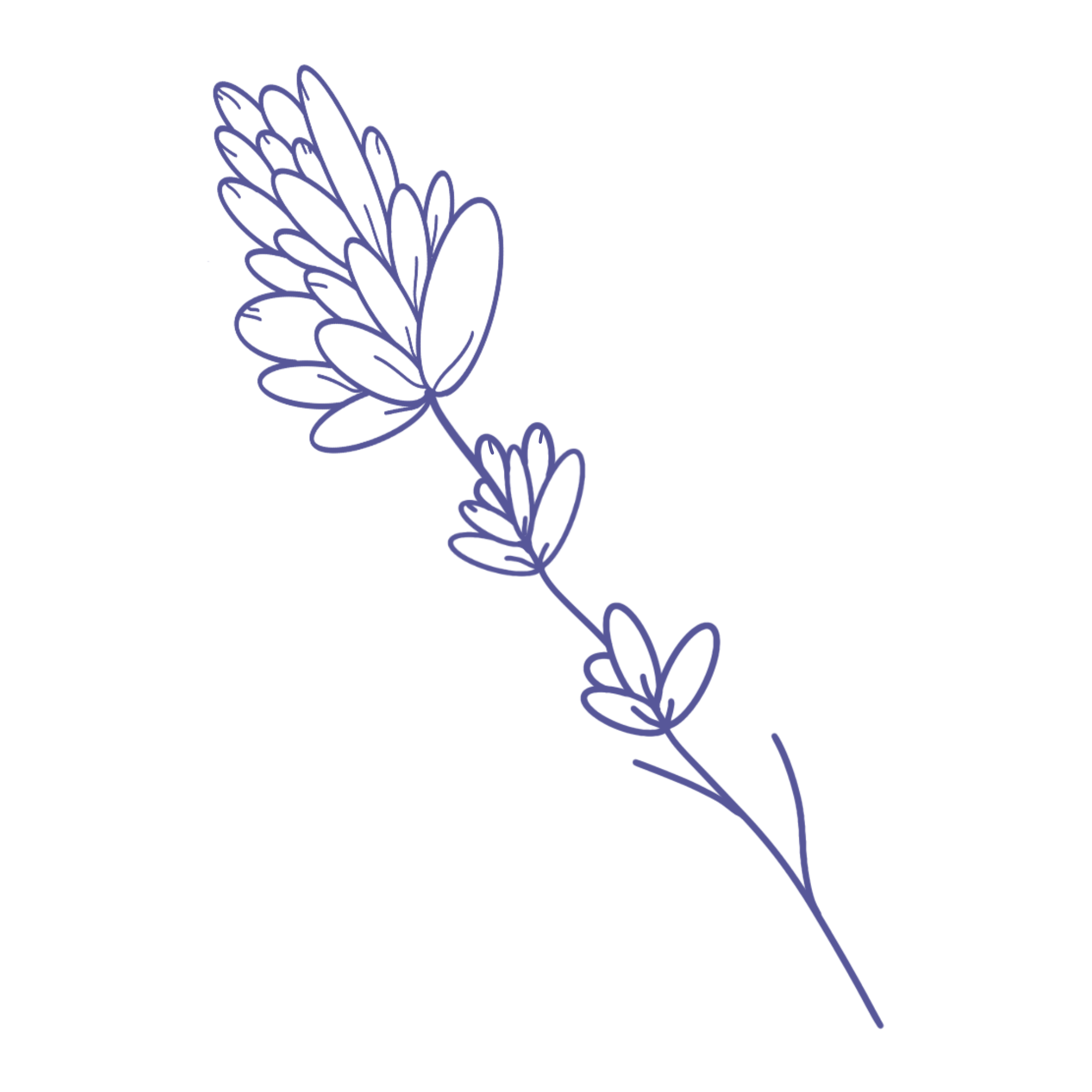 A minimal line drawing of a lavender sprig with flowers and leaves, depicted in a dark purple color.