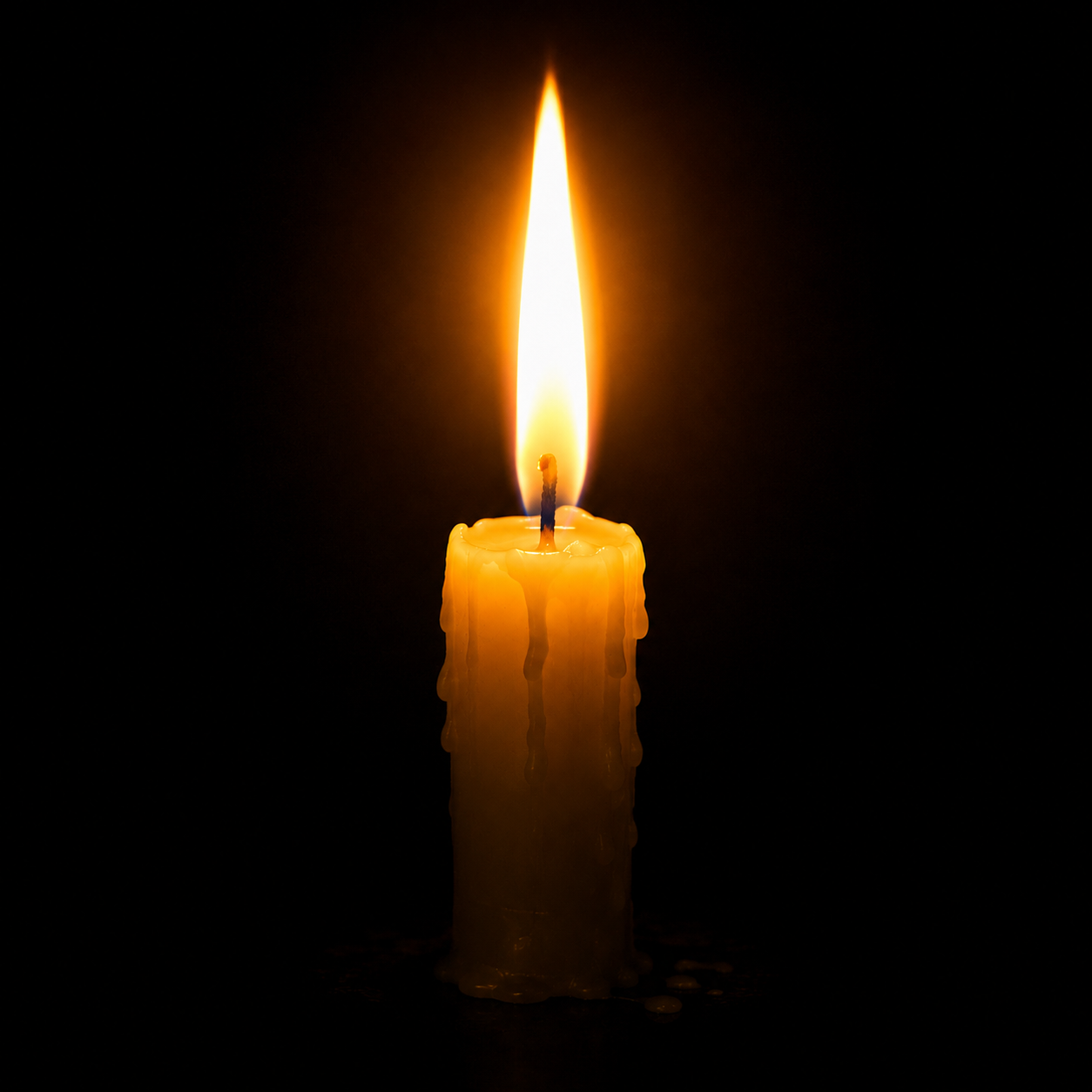 1534FA89-6EEE-4DF6-A894-A37C1A27644F.png