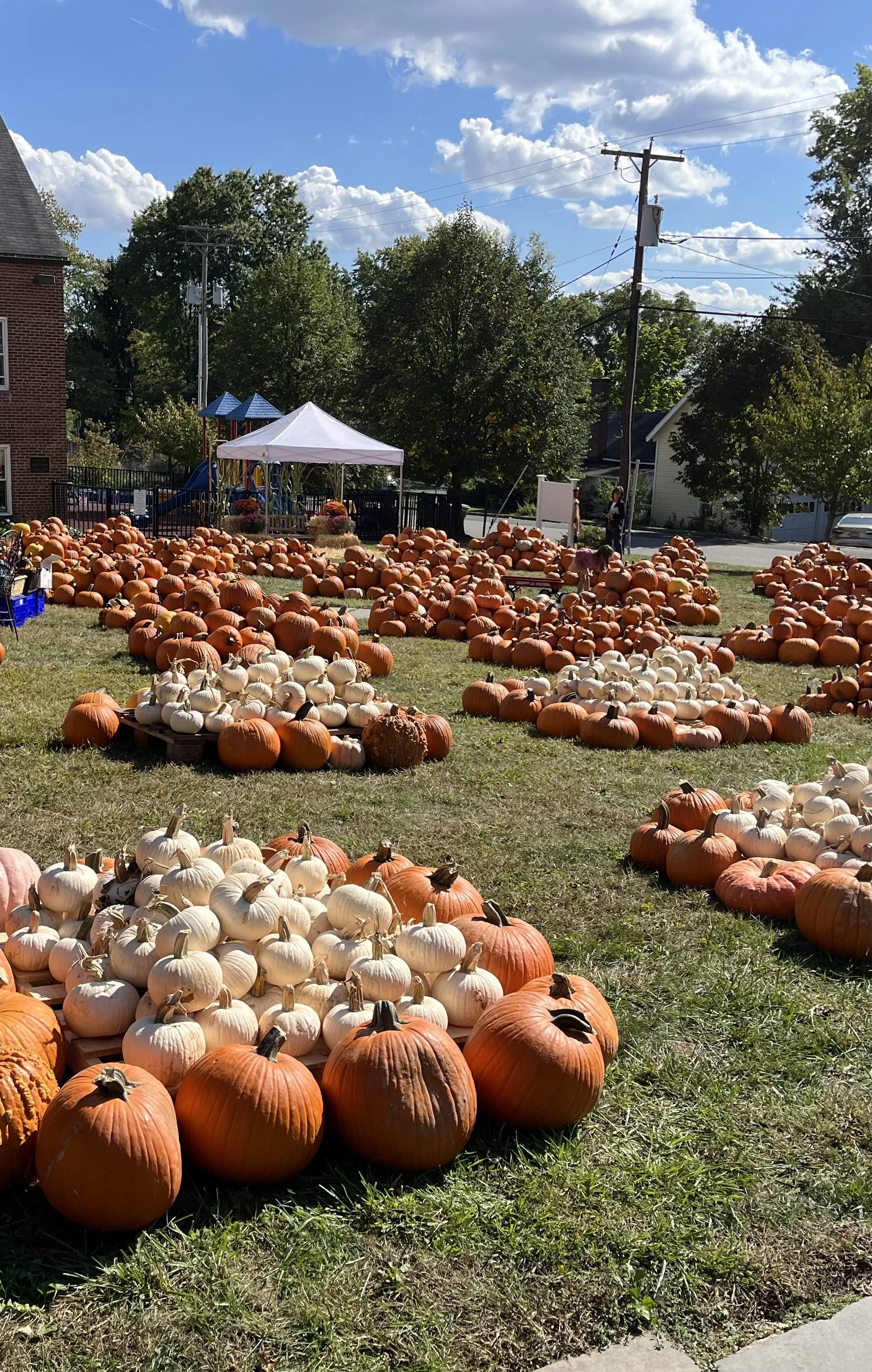 Pumpkin Patch Kickoff