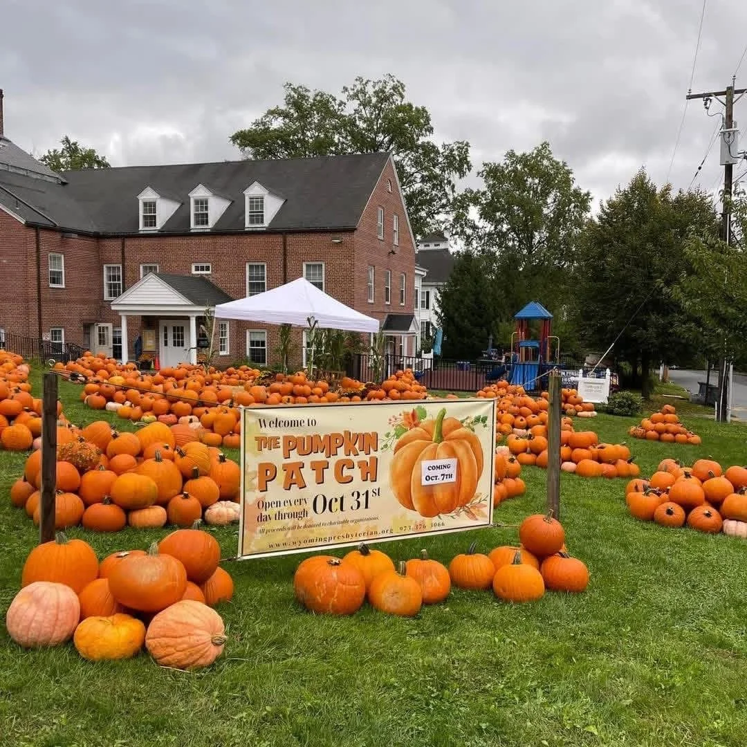 Pumpkin patch with many pumpkins on green grass in front of a brick building, a white canopy, and a children's playground, with a sign welcoming visitors and advertising the pumpkin patch open through October 31st.