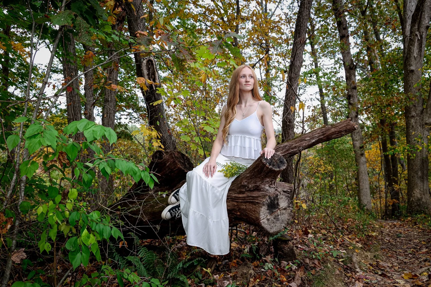 Senior Portraits FAQs