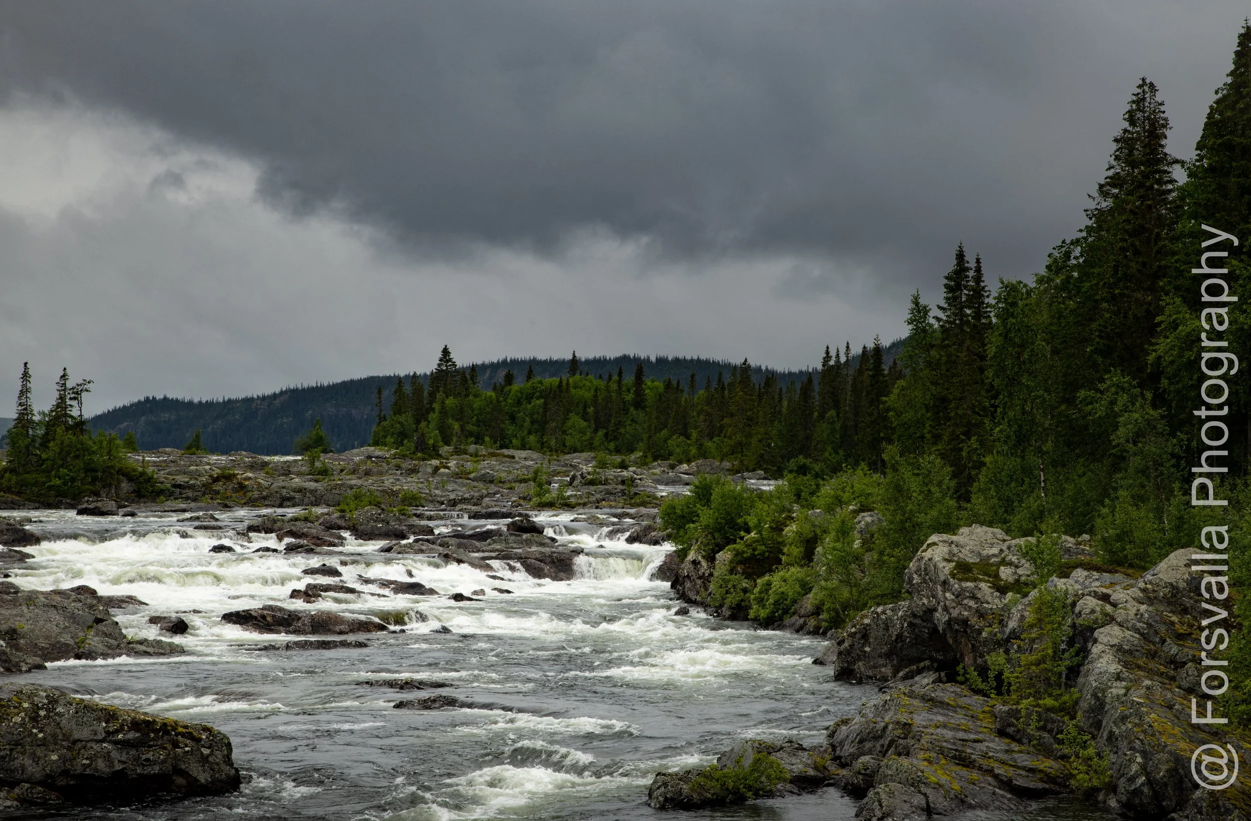 SE_Wilderness road -