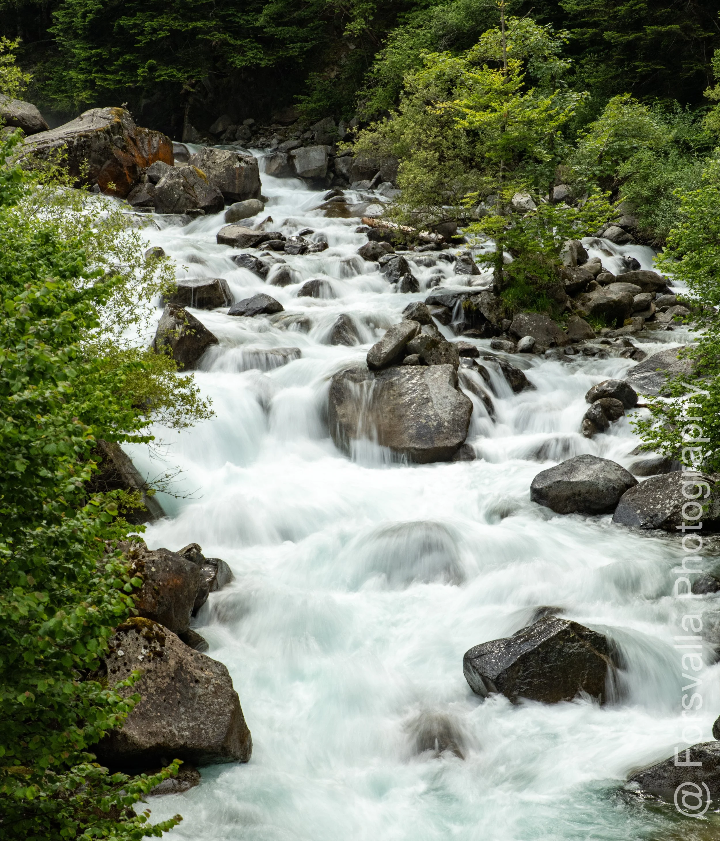 Pyrenees - Flow