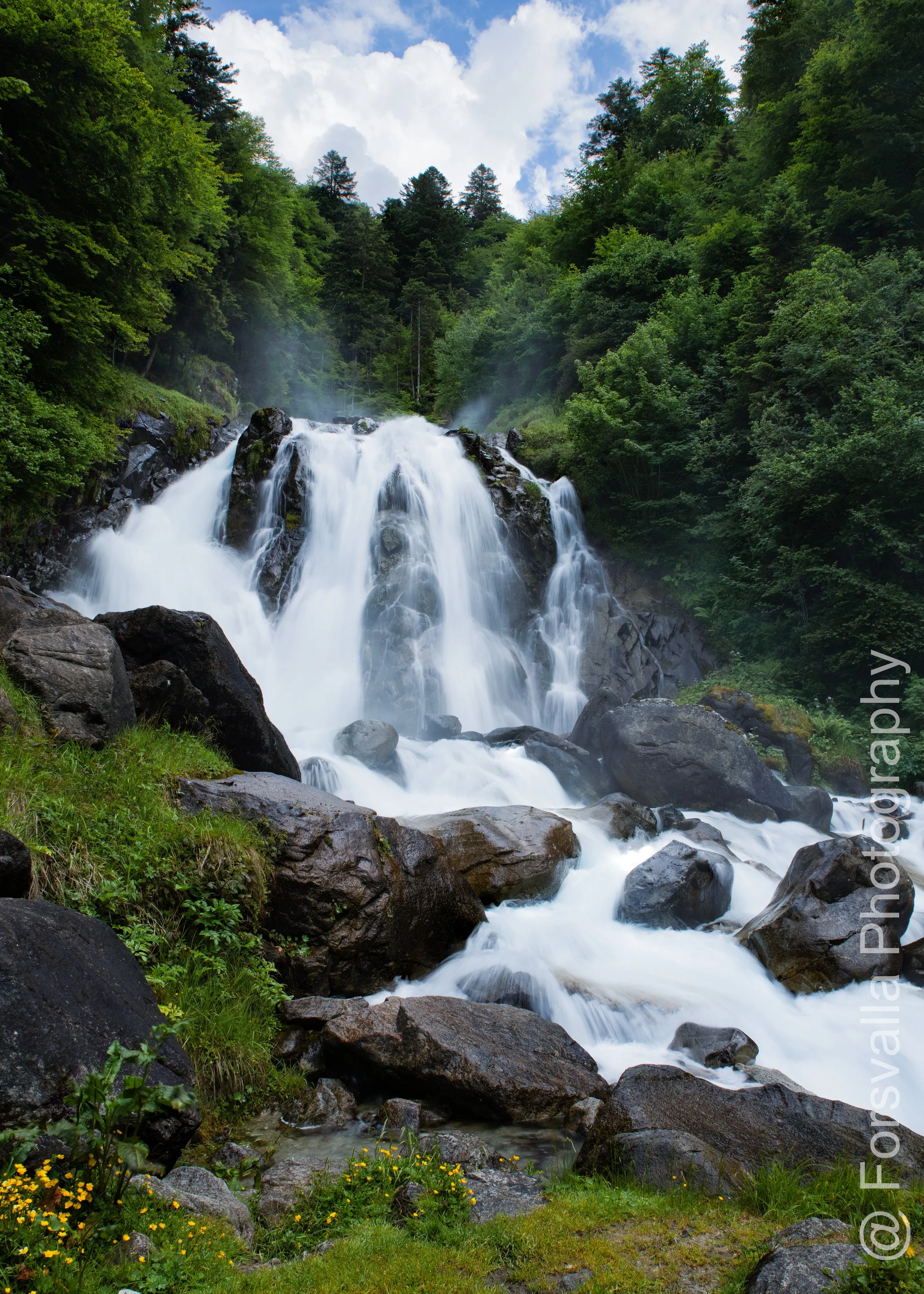 Pyrenees - 