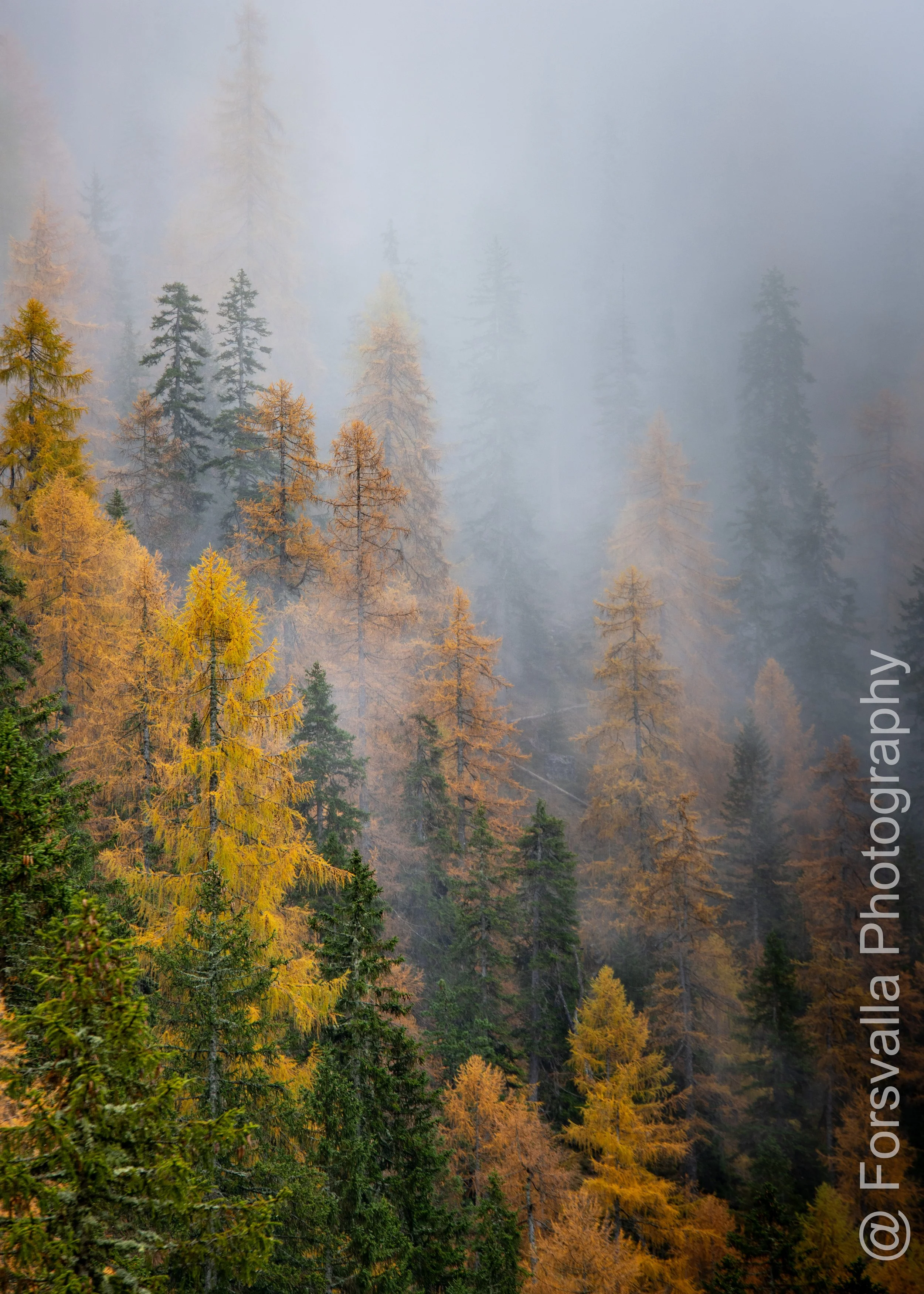 Dolomites - Mist is coming