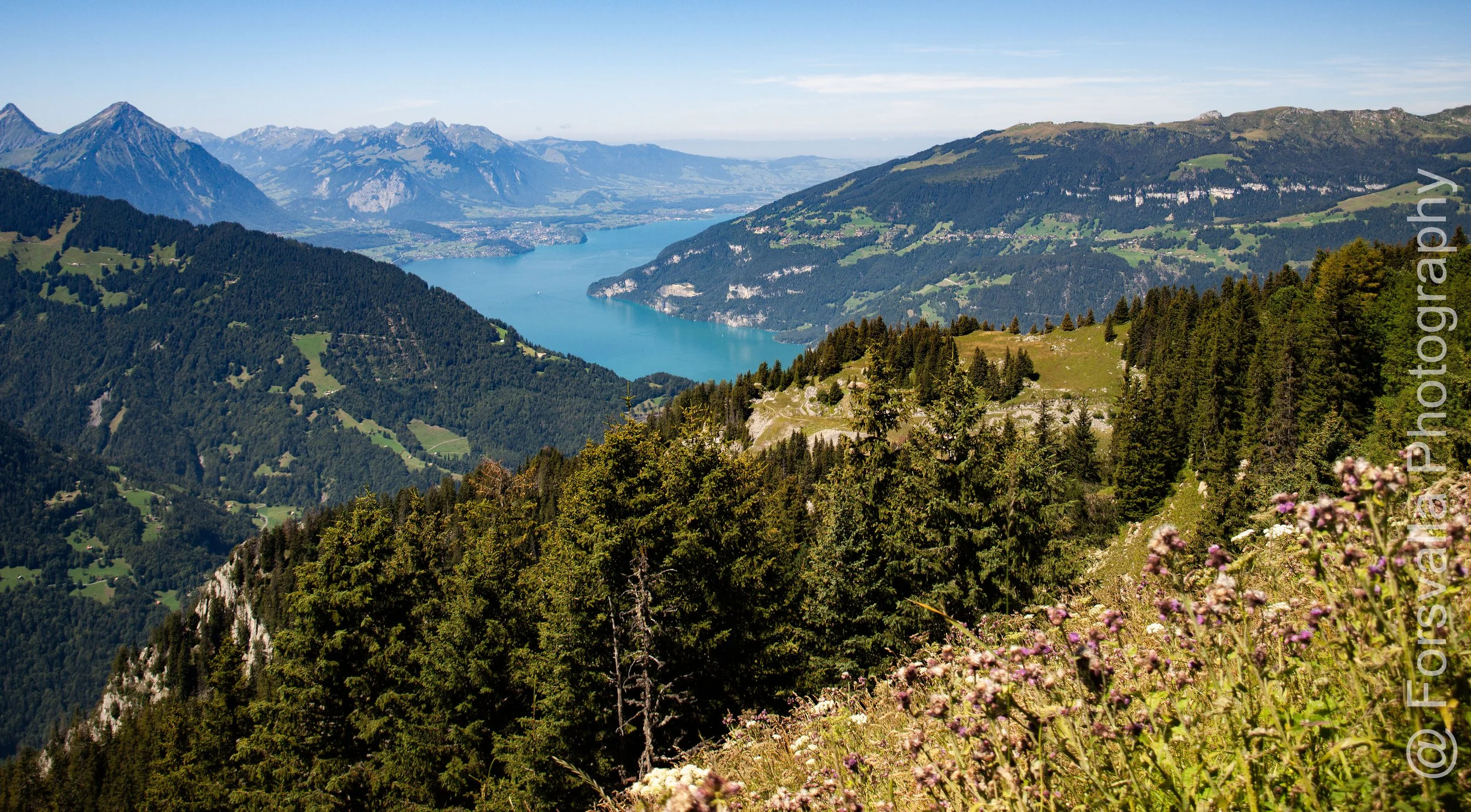 CH_Jungfrauregion - 