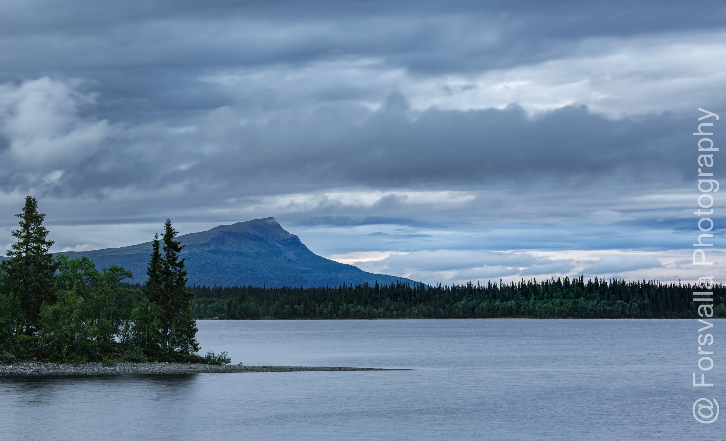 SE_Wilderness road - Cloudy summer night