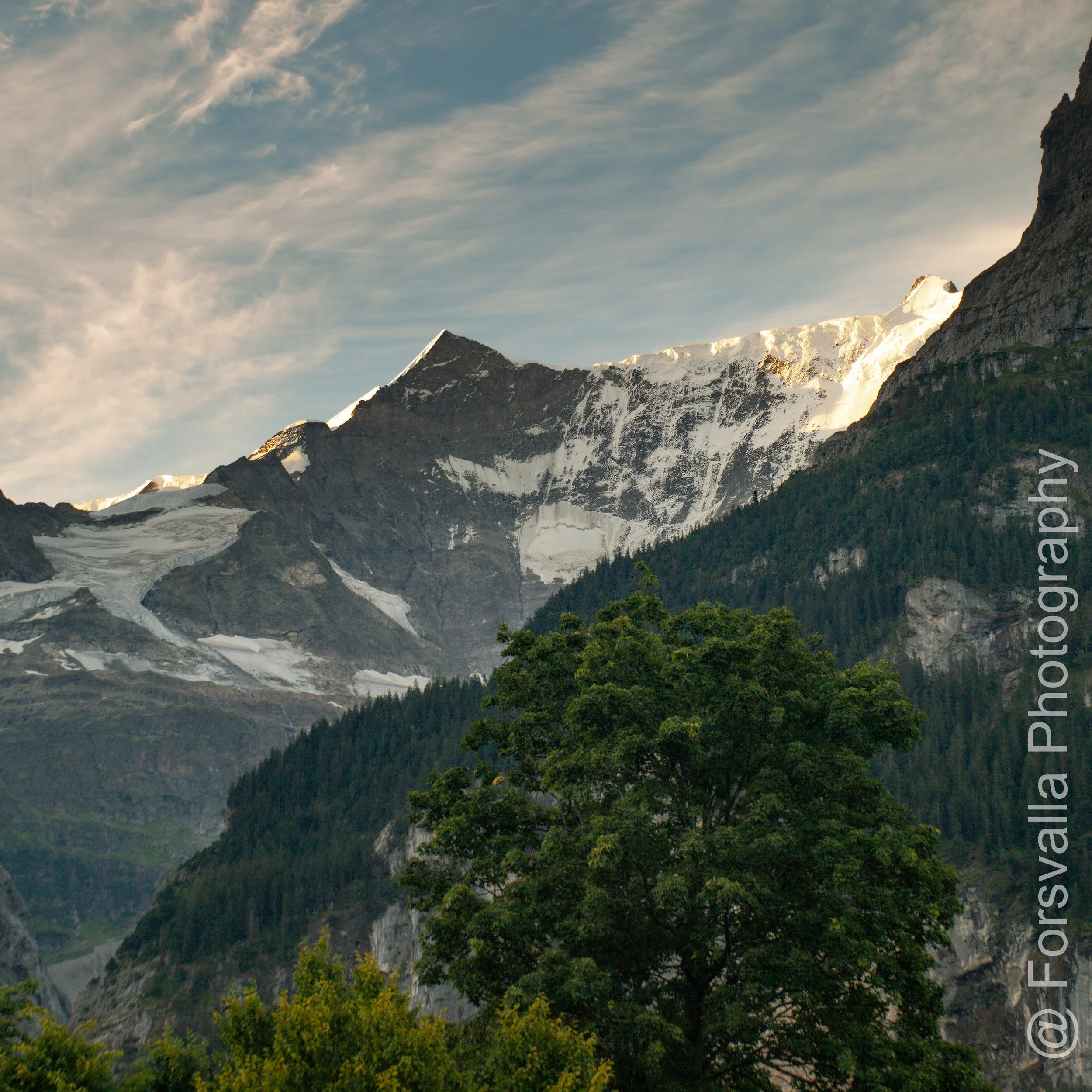 CH_Jungfrauregion - 