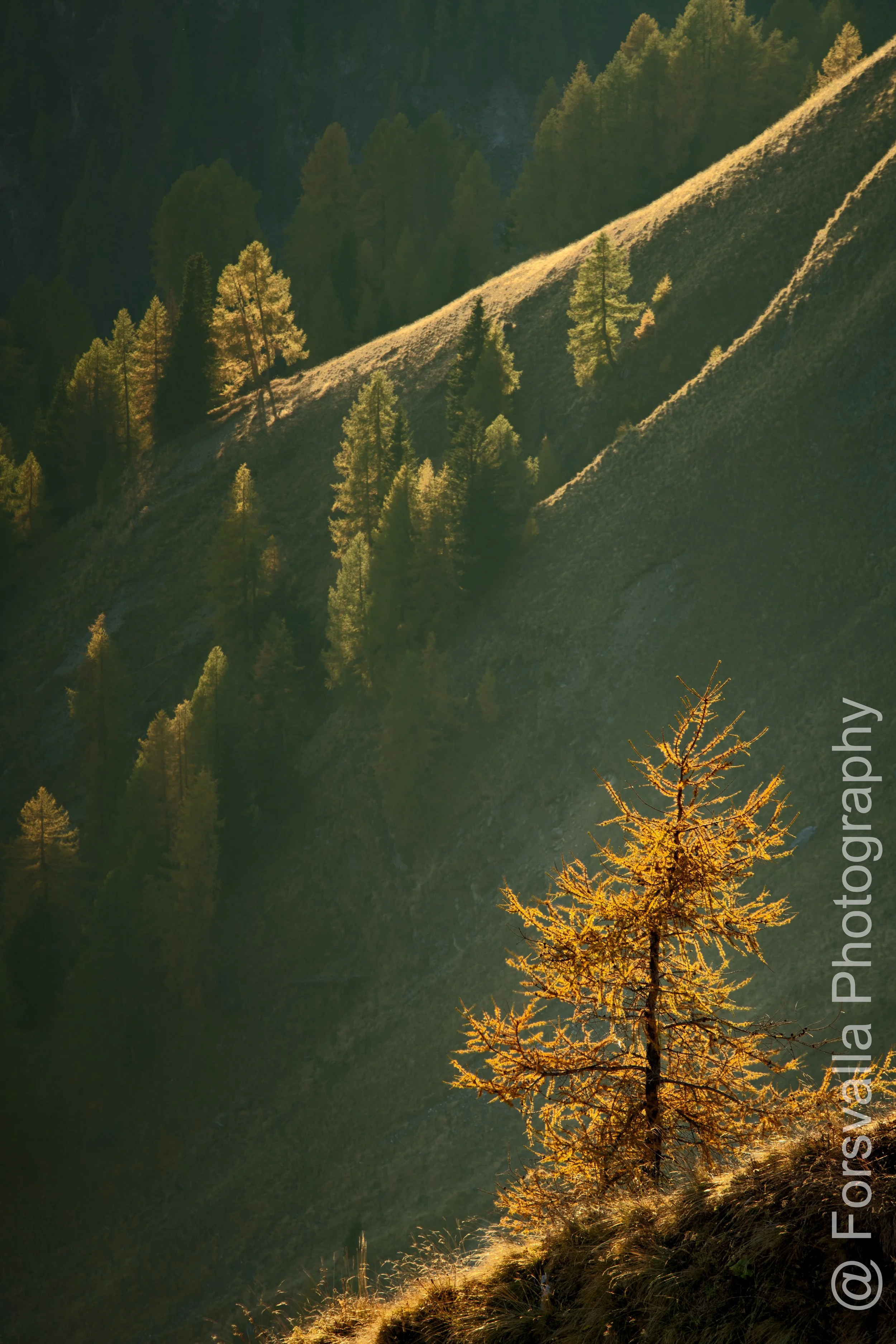Dolomites - 