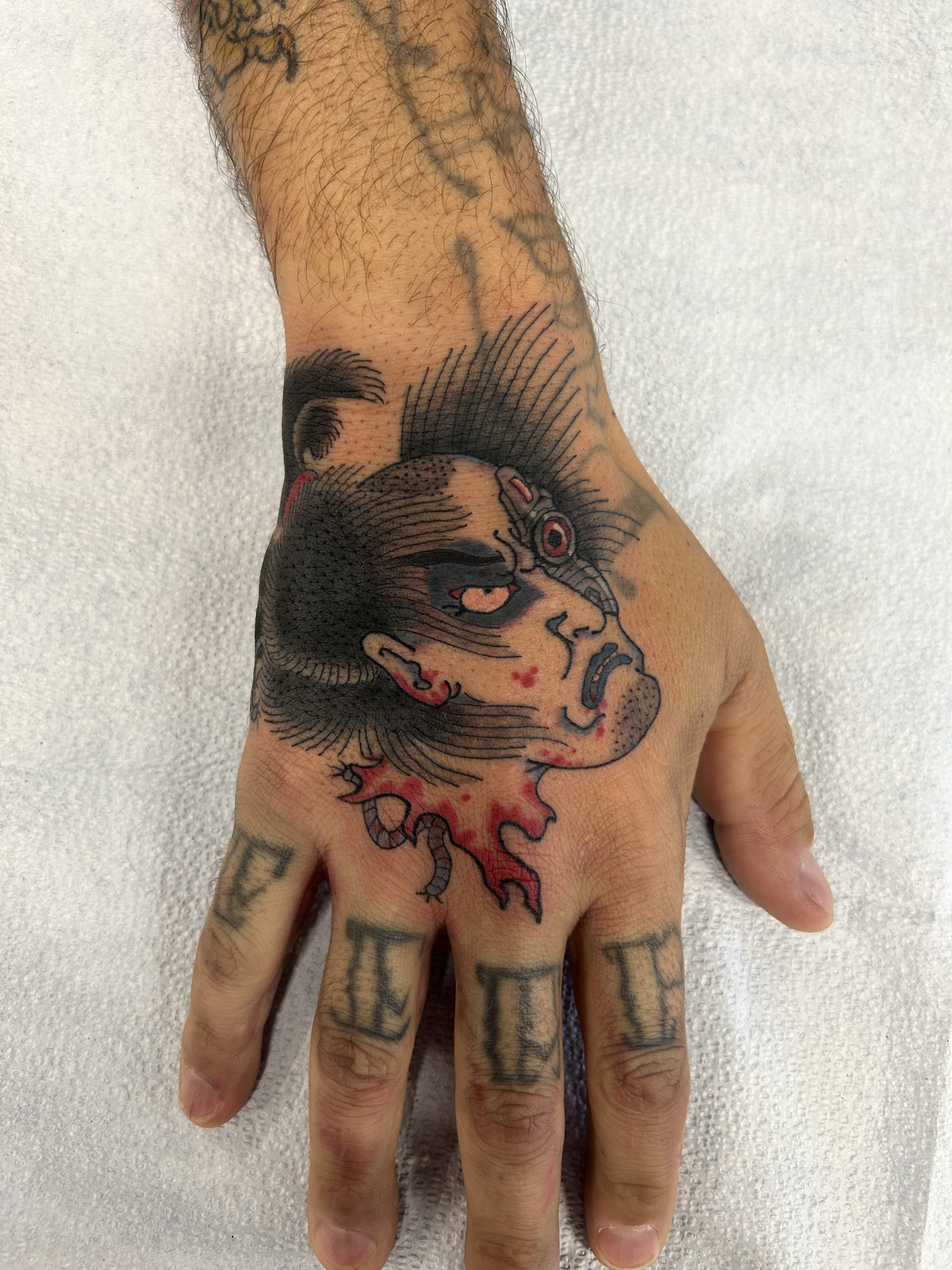 IMG_2421.jpeg