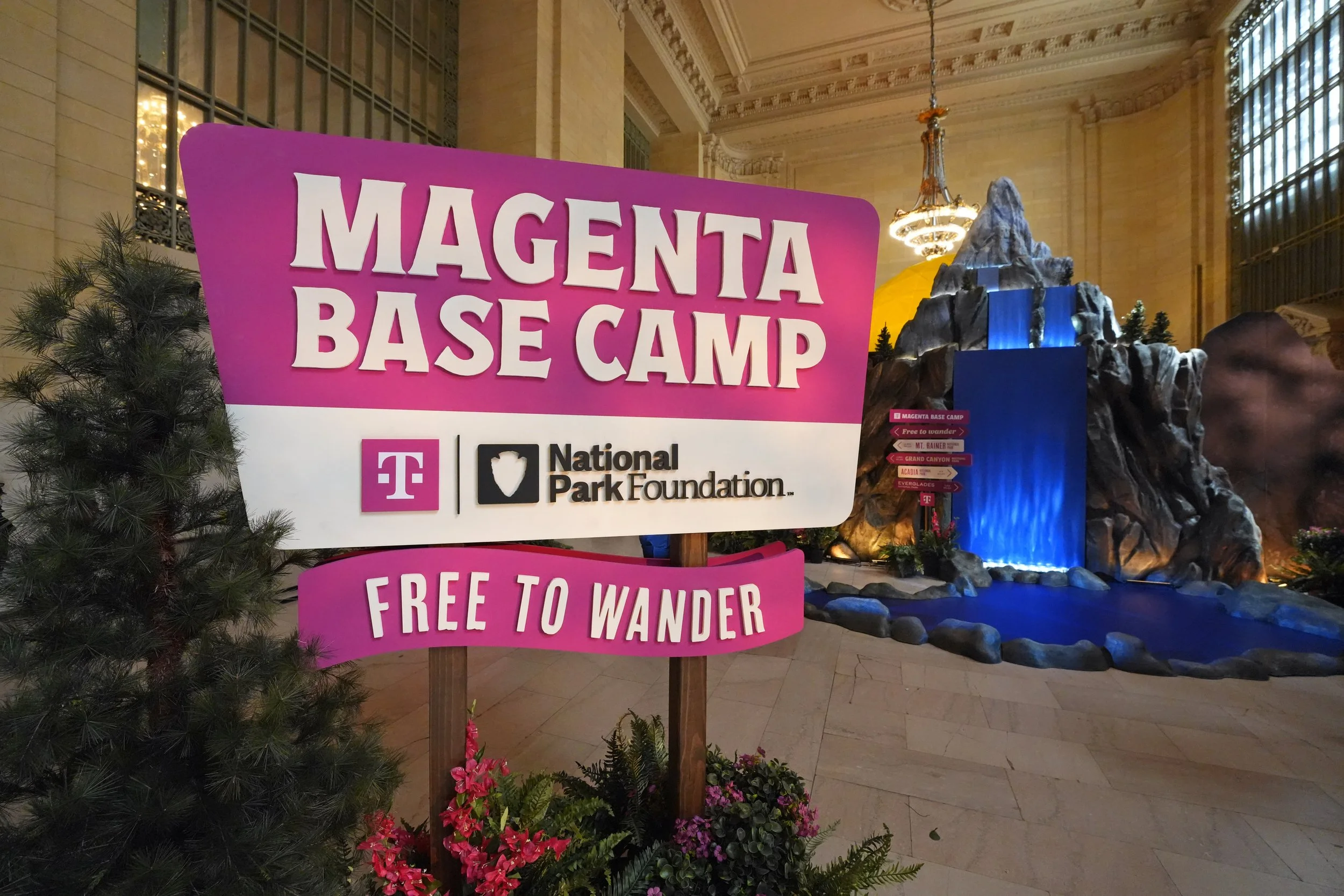 Magenta Base Camp 1.JPG