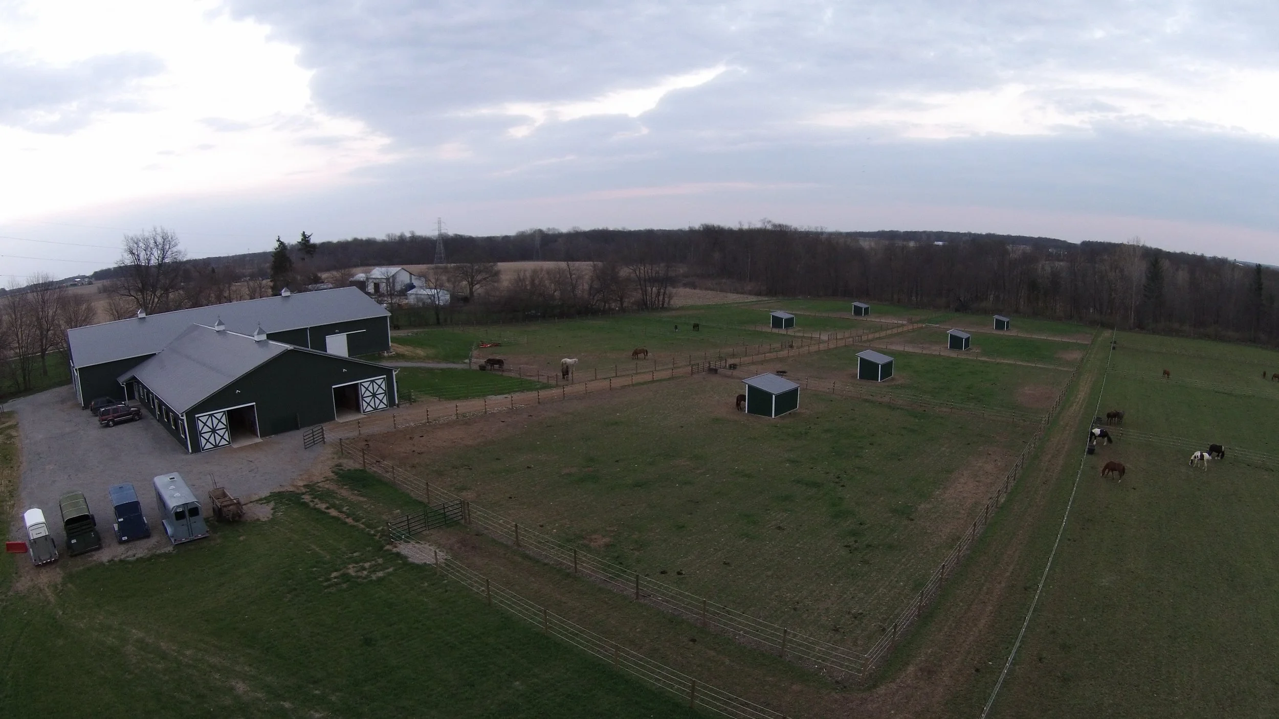laughinghorse1.JPG