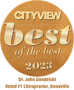 Gold badge with text 'CITYVIEW best of the best 2023'