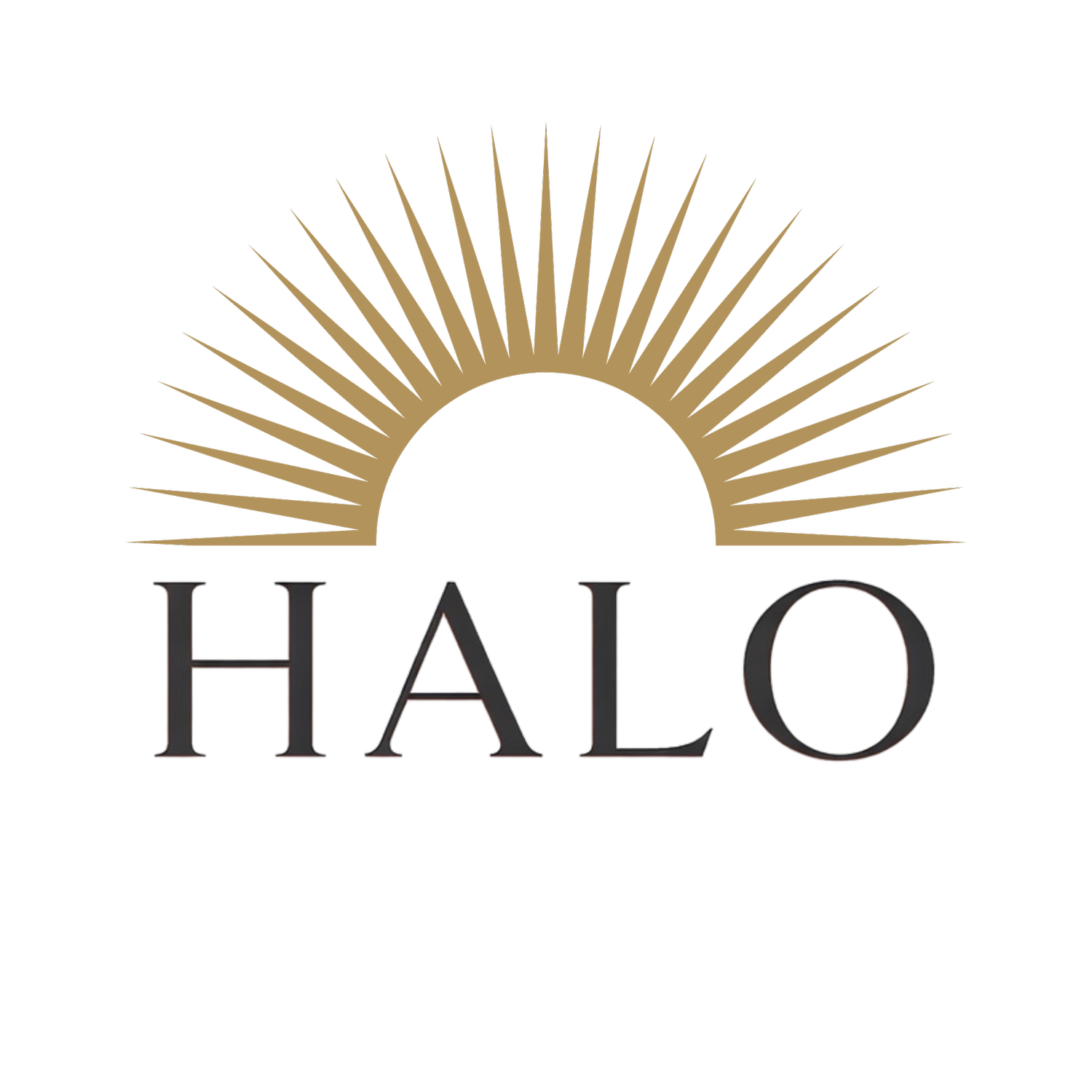 HALO Consulting Solutions