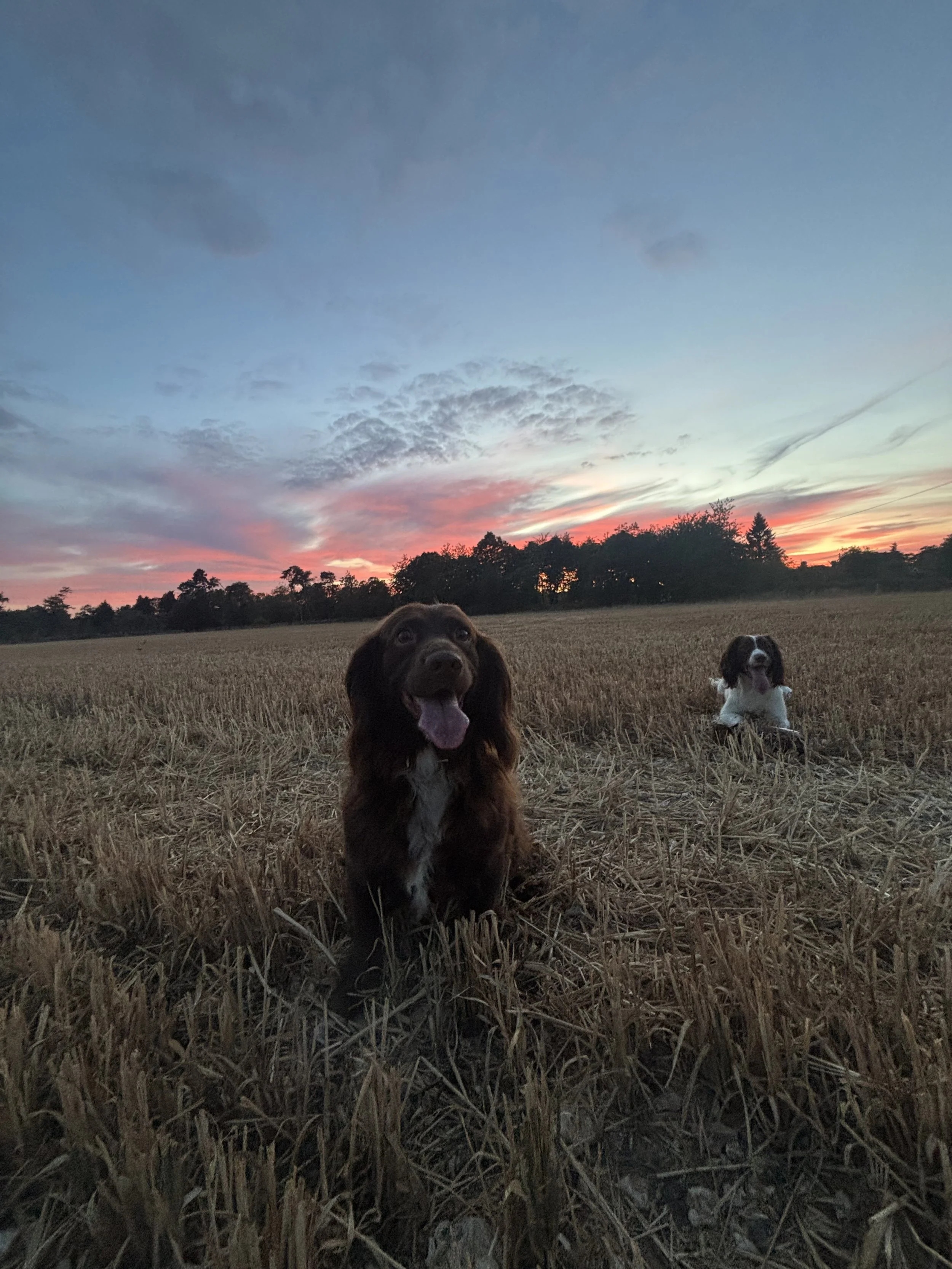 IMG_4360.jpeg